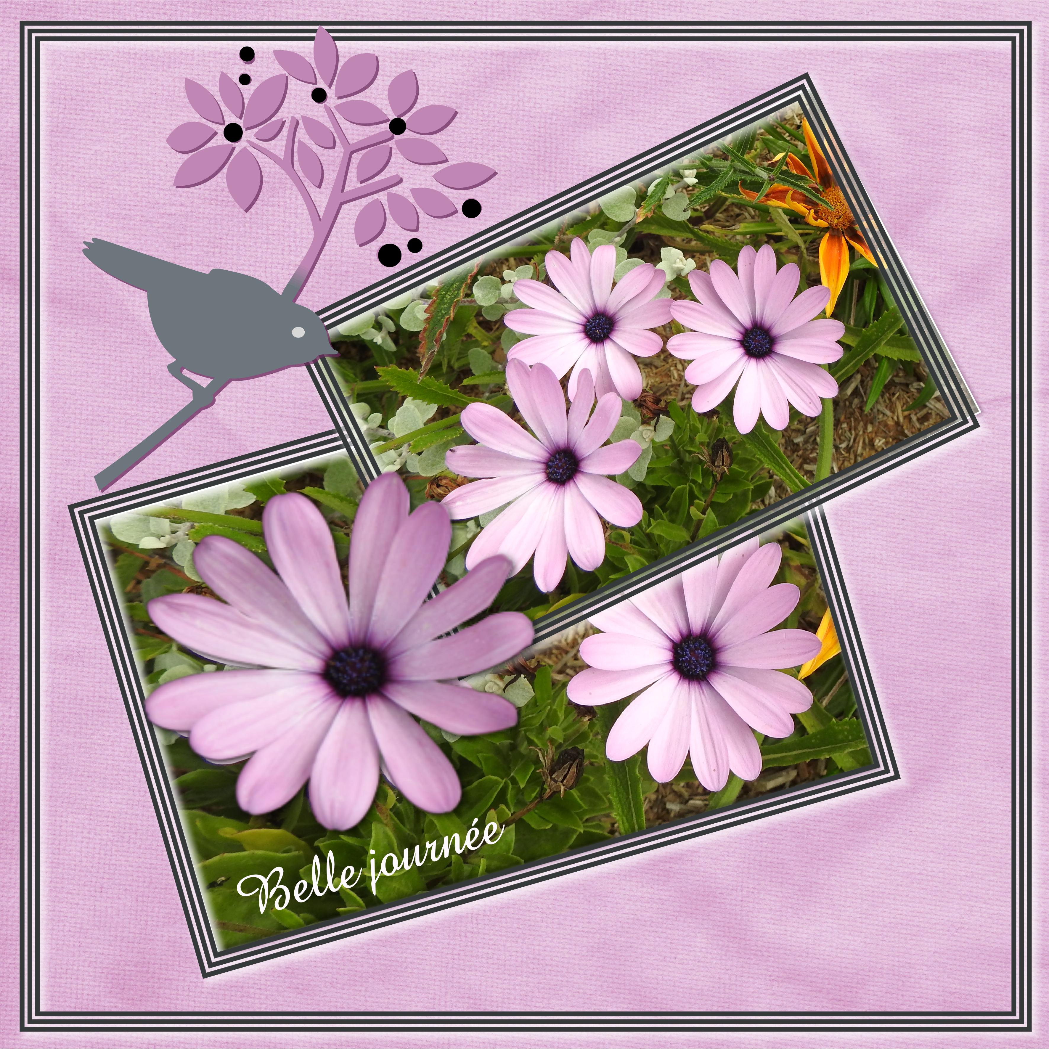 J - BELLE JOURNEE.jpg