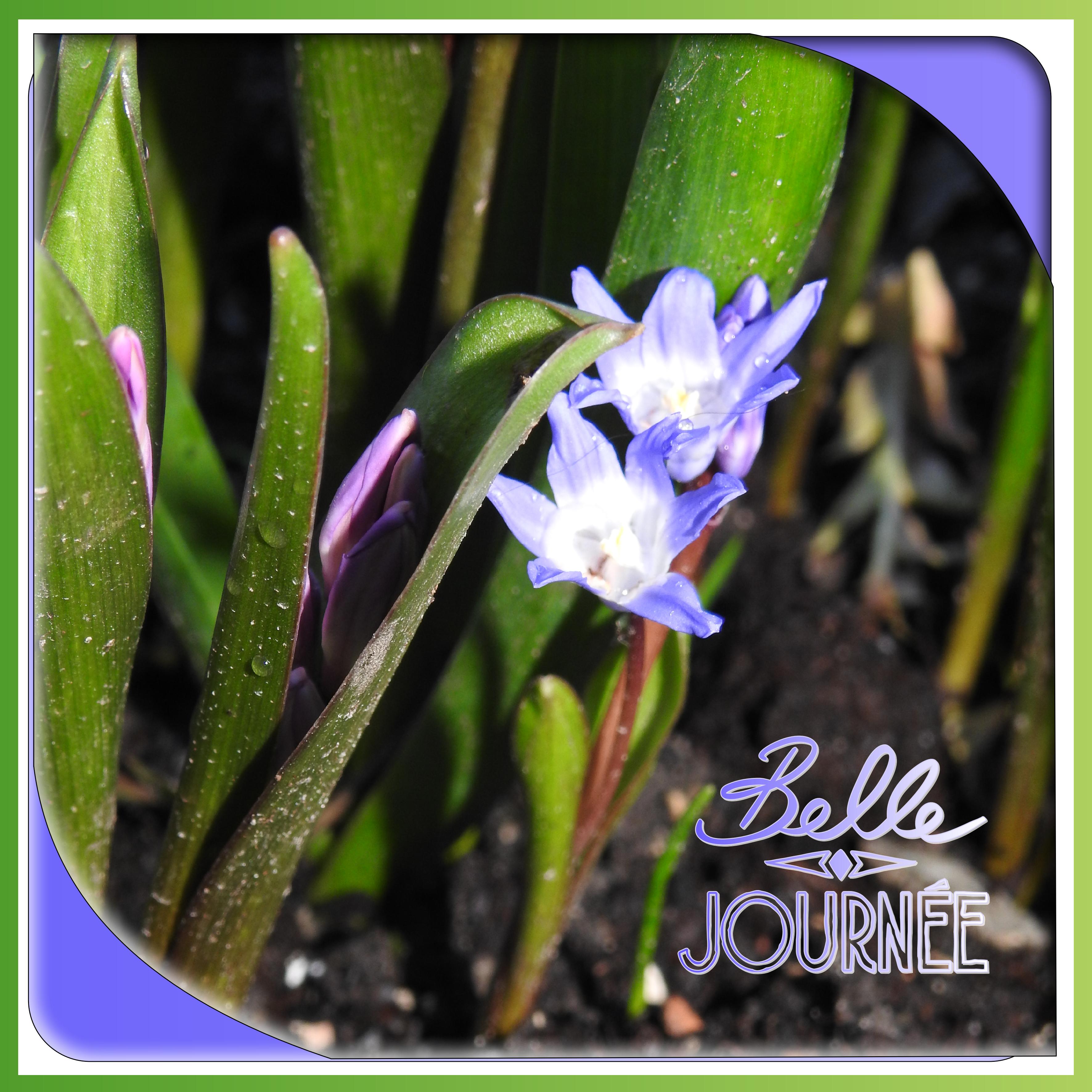 J- BELLE JOURNEE.jpg