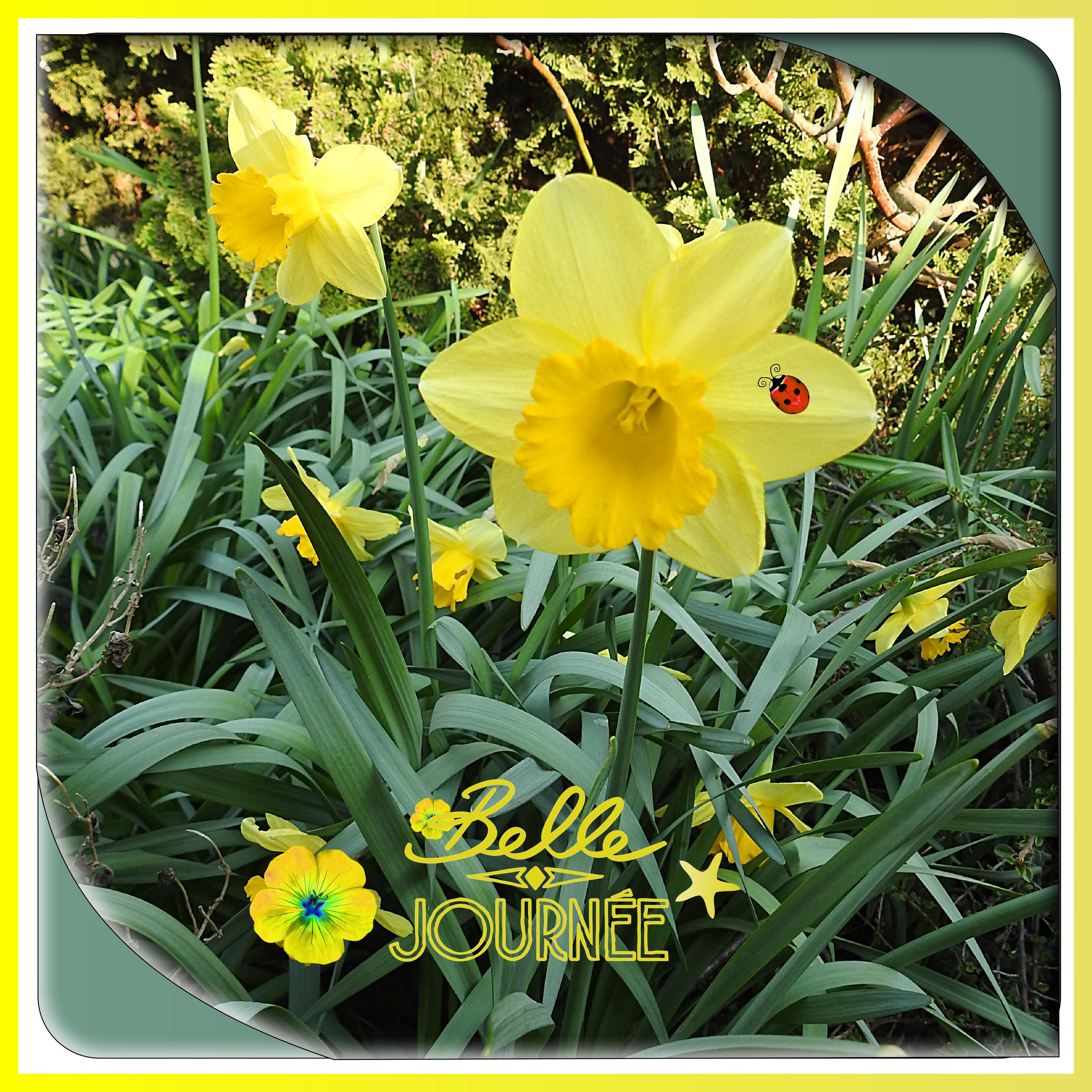 J - BELLE JOURNEE.jpg