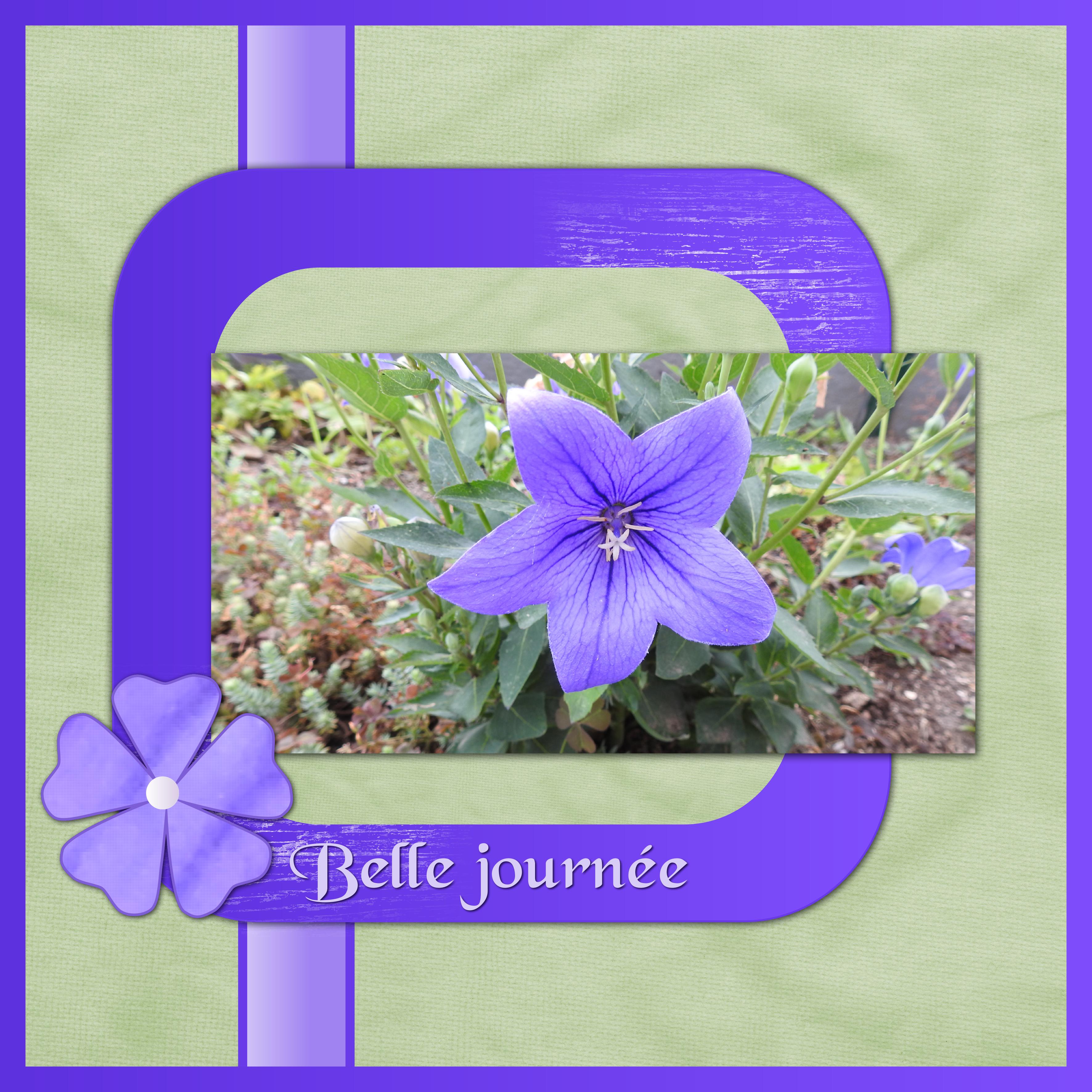J - BELLE JOURNEE.jpg