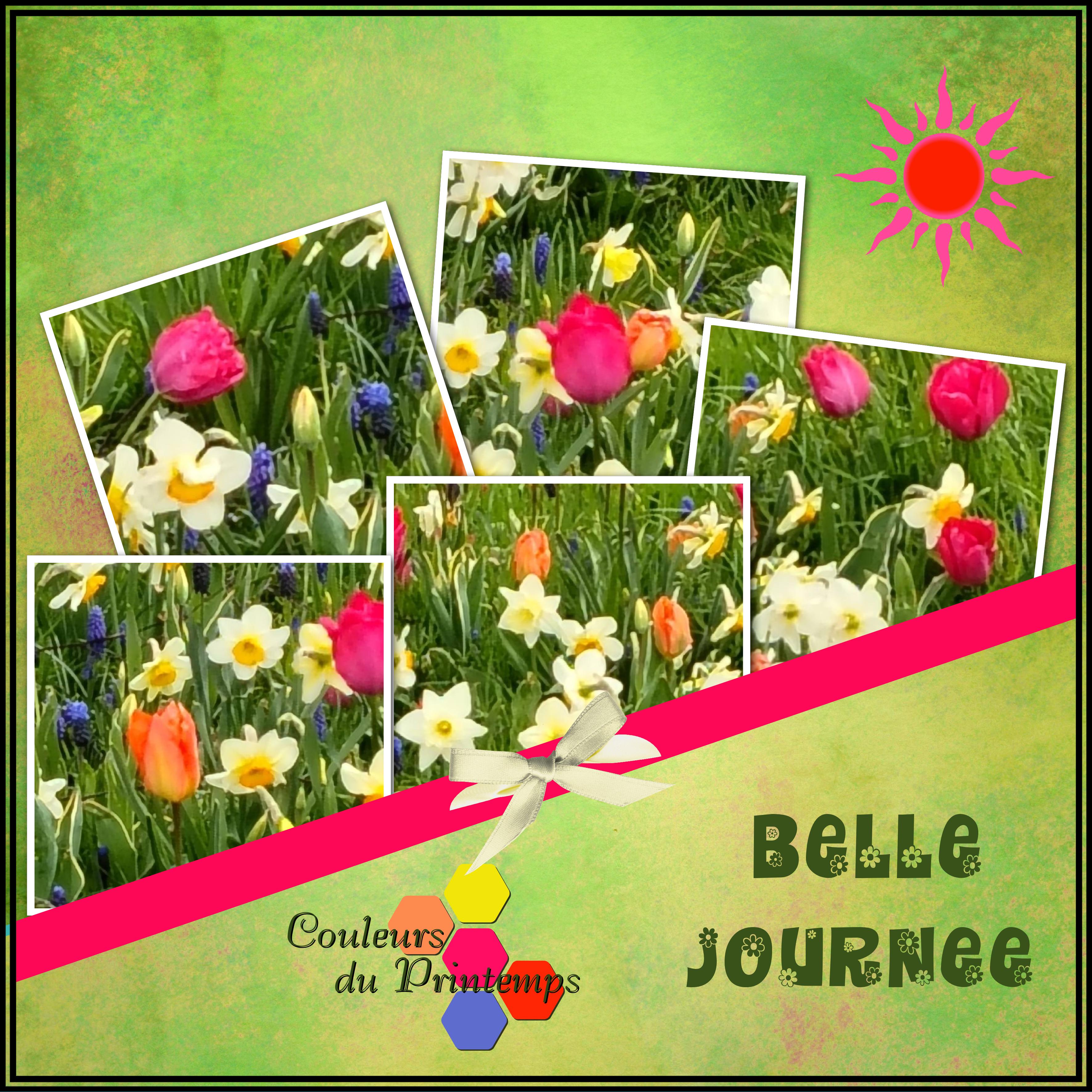 J - BELLE JOURNEE.jpg