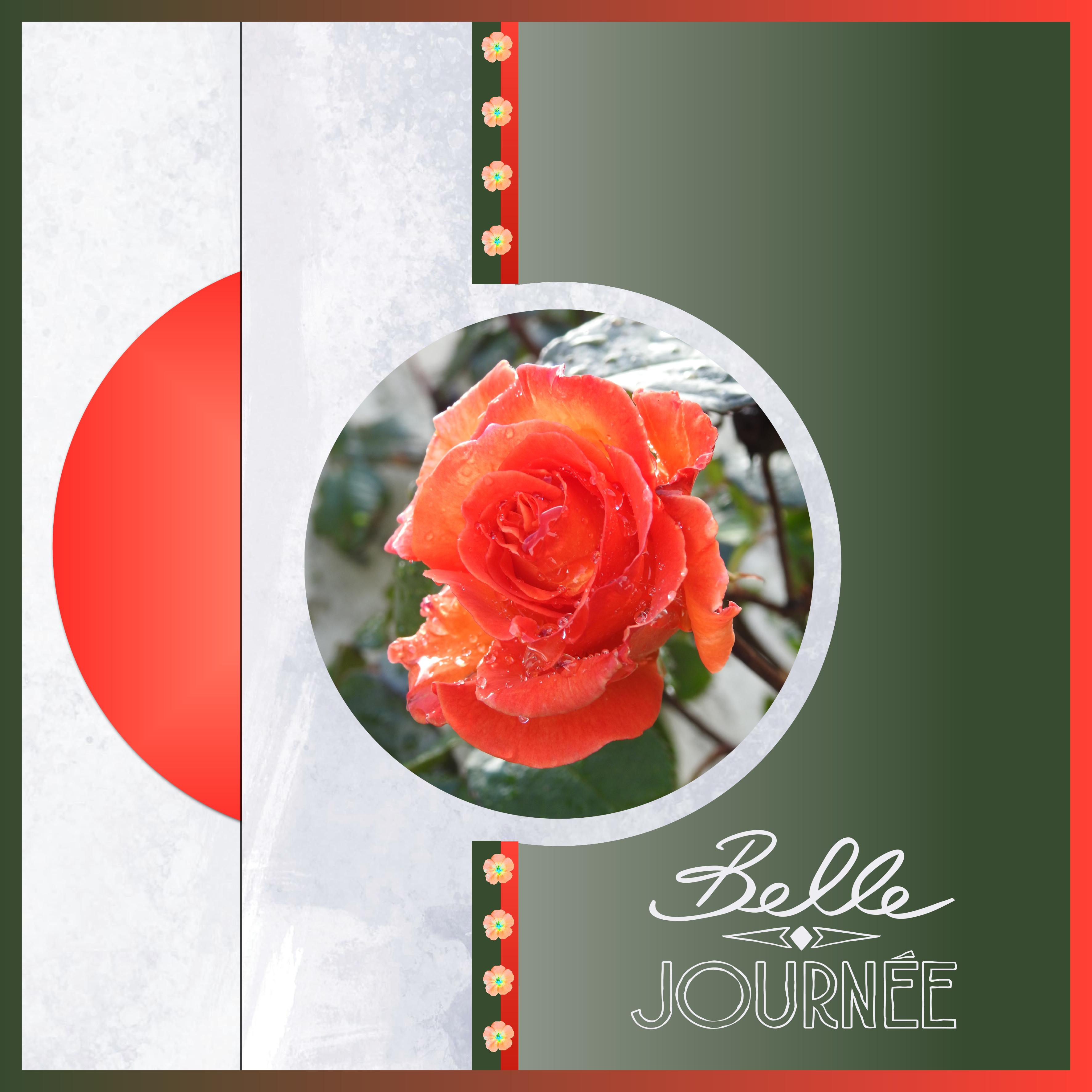 J - BELLE JOURNEE.jpg
