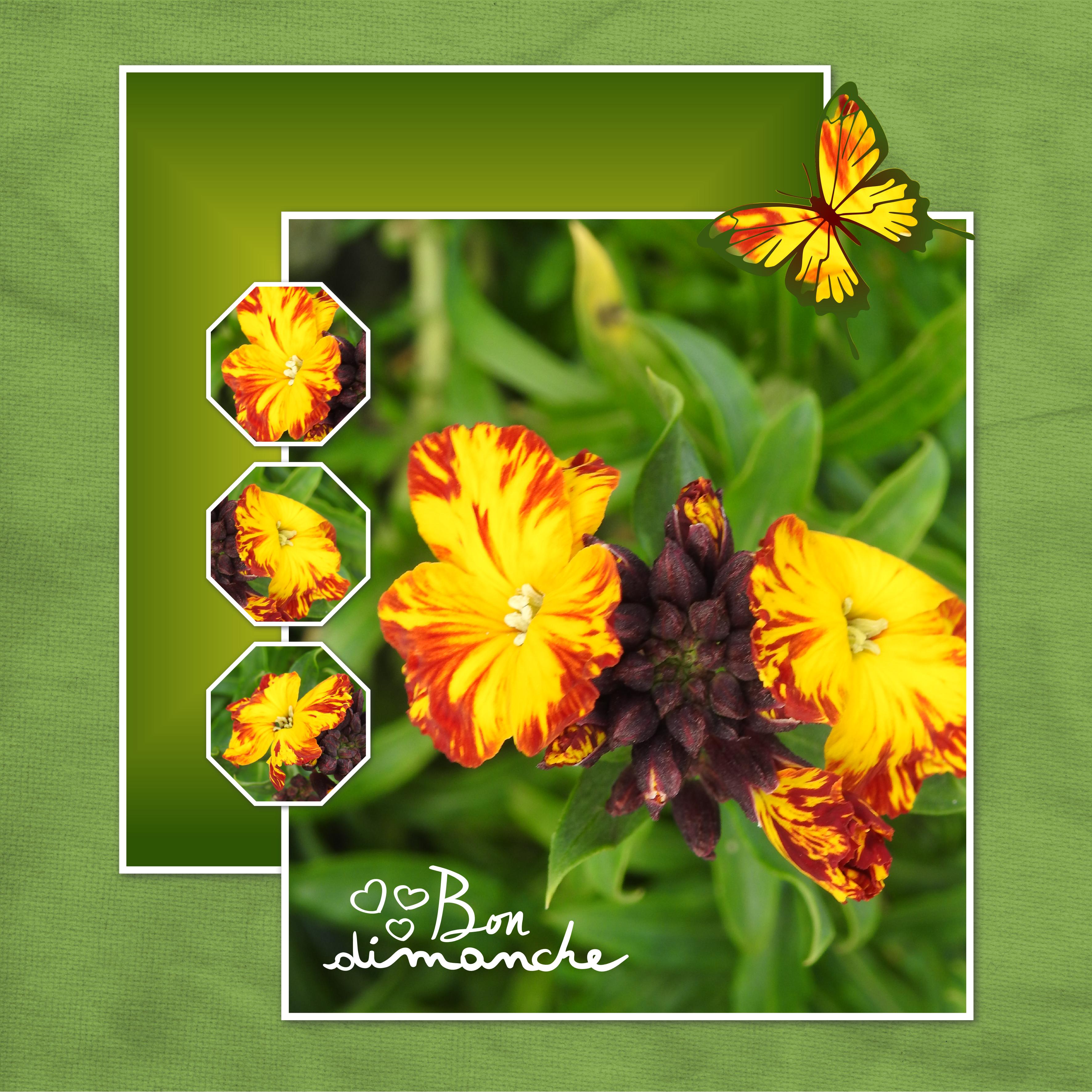 J - BON DIMANCHE.jpg