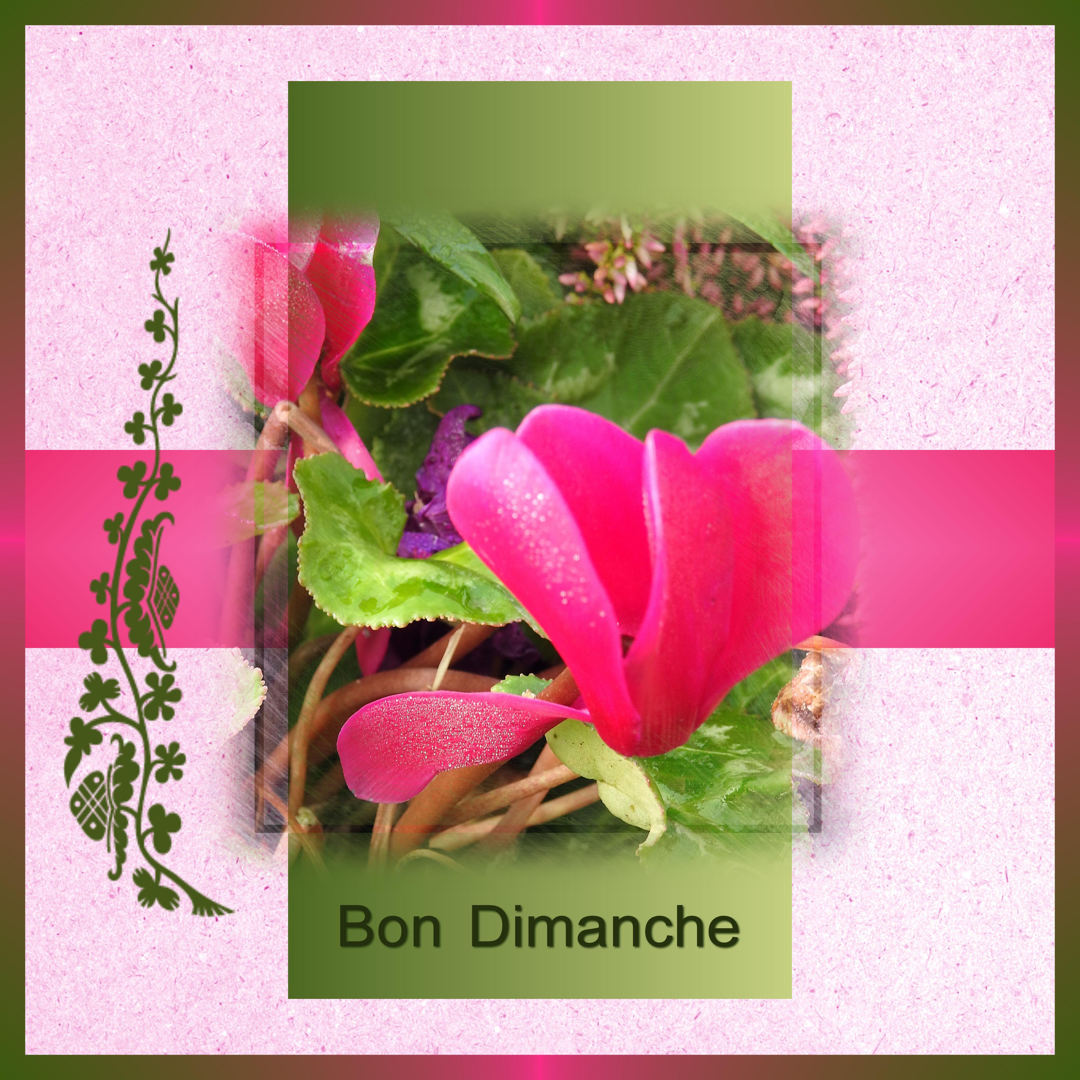 J BON DIMANCHE.jpg Forum Le monde du Scrap