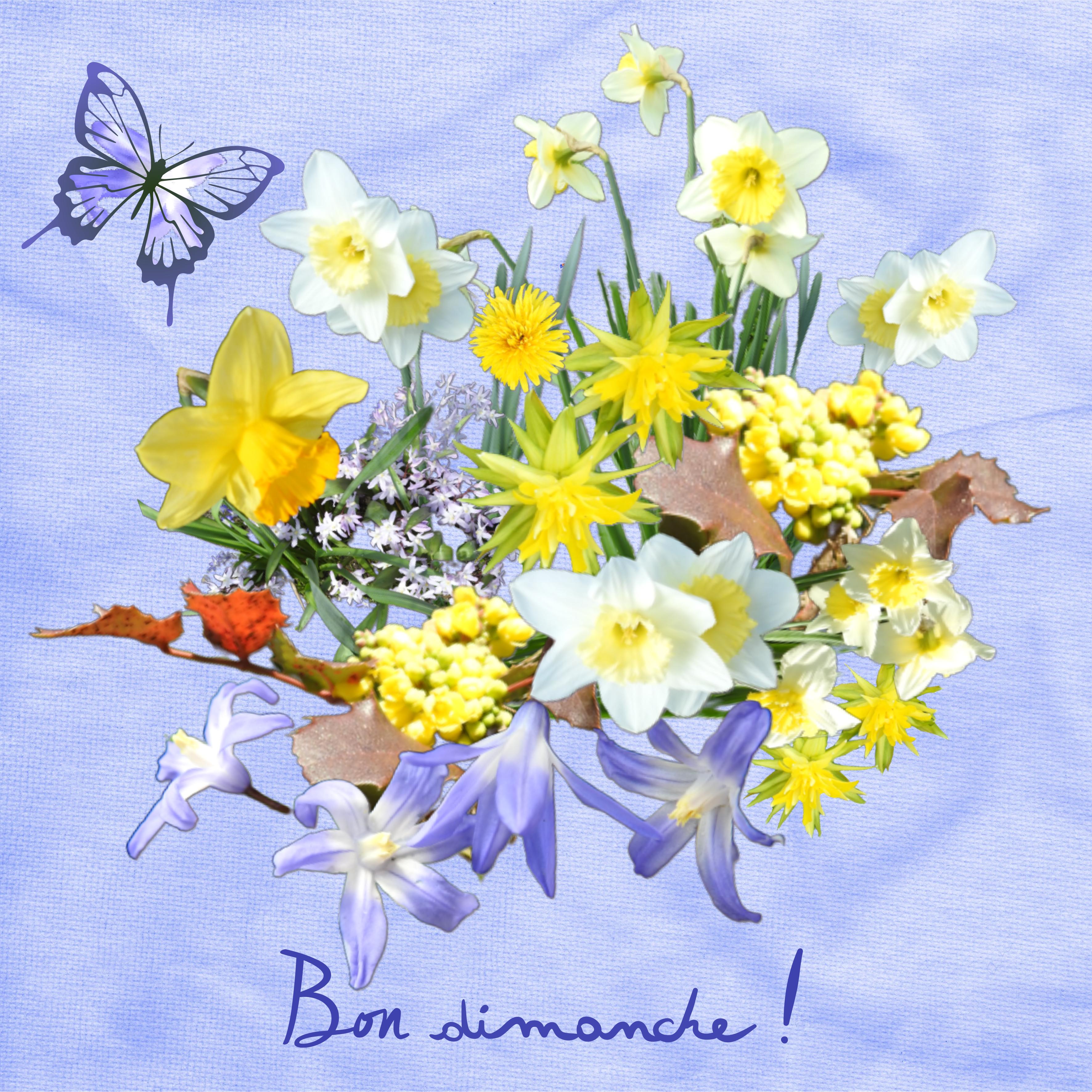 J - BON DIMANCHE.jpg