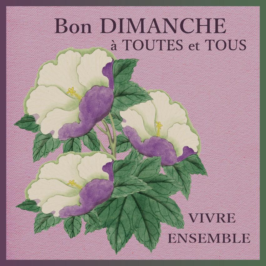 J - BON DIMANCHE.jpg