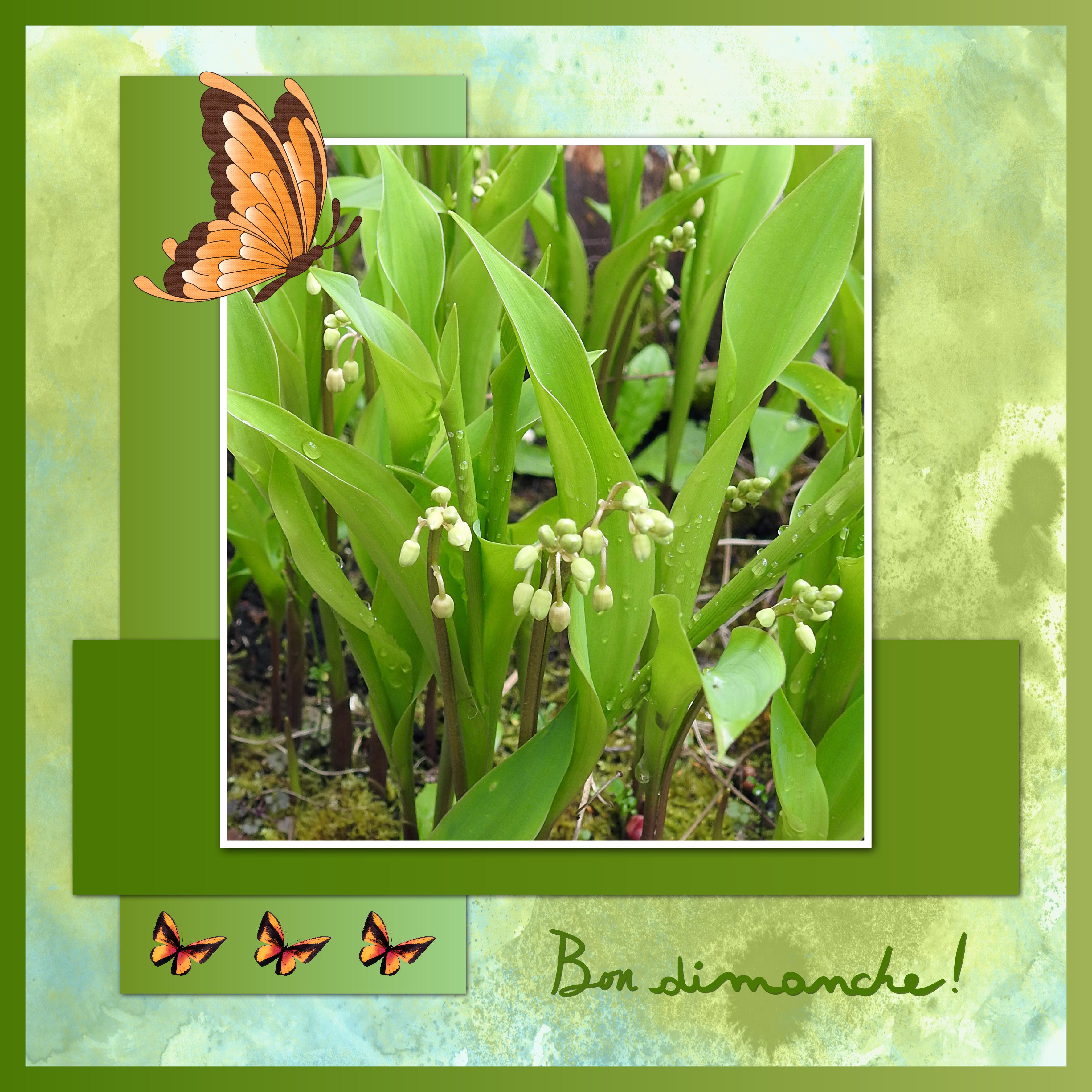 J - BON DIMANCHE.jpg