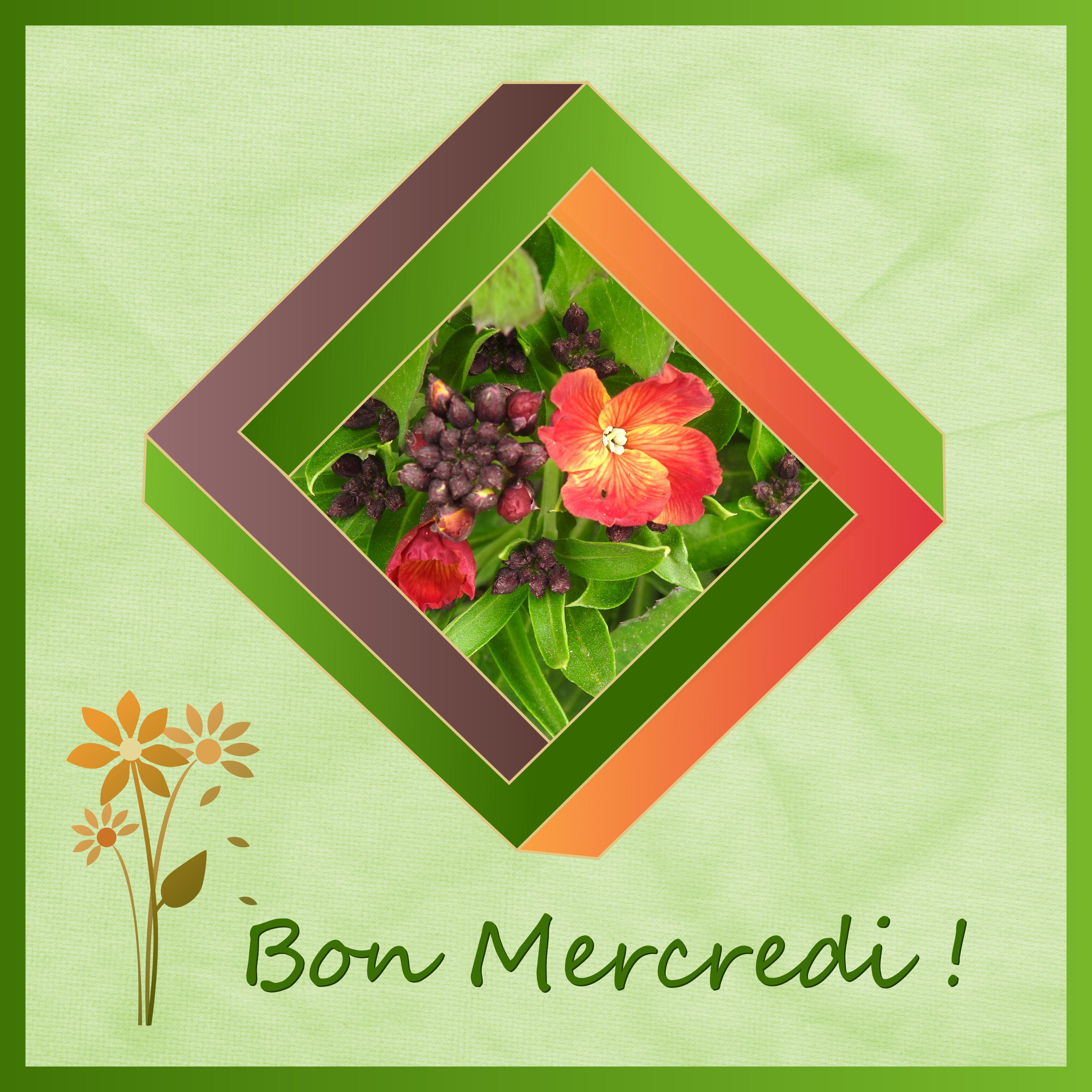 J - BON MERCREDI.jpg