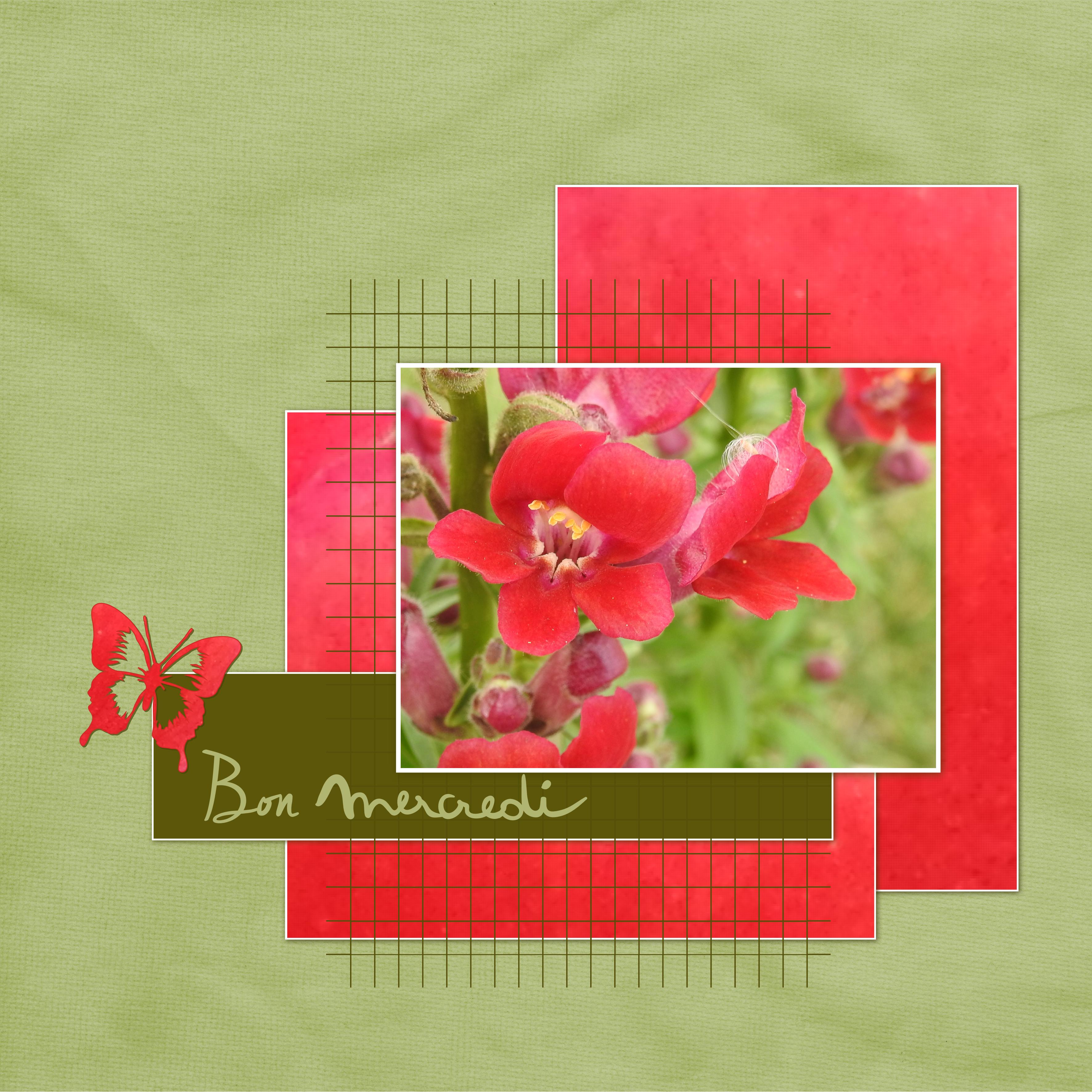 J - BON MERCREDI.jpg