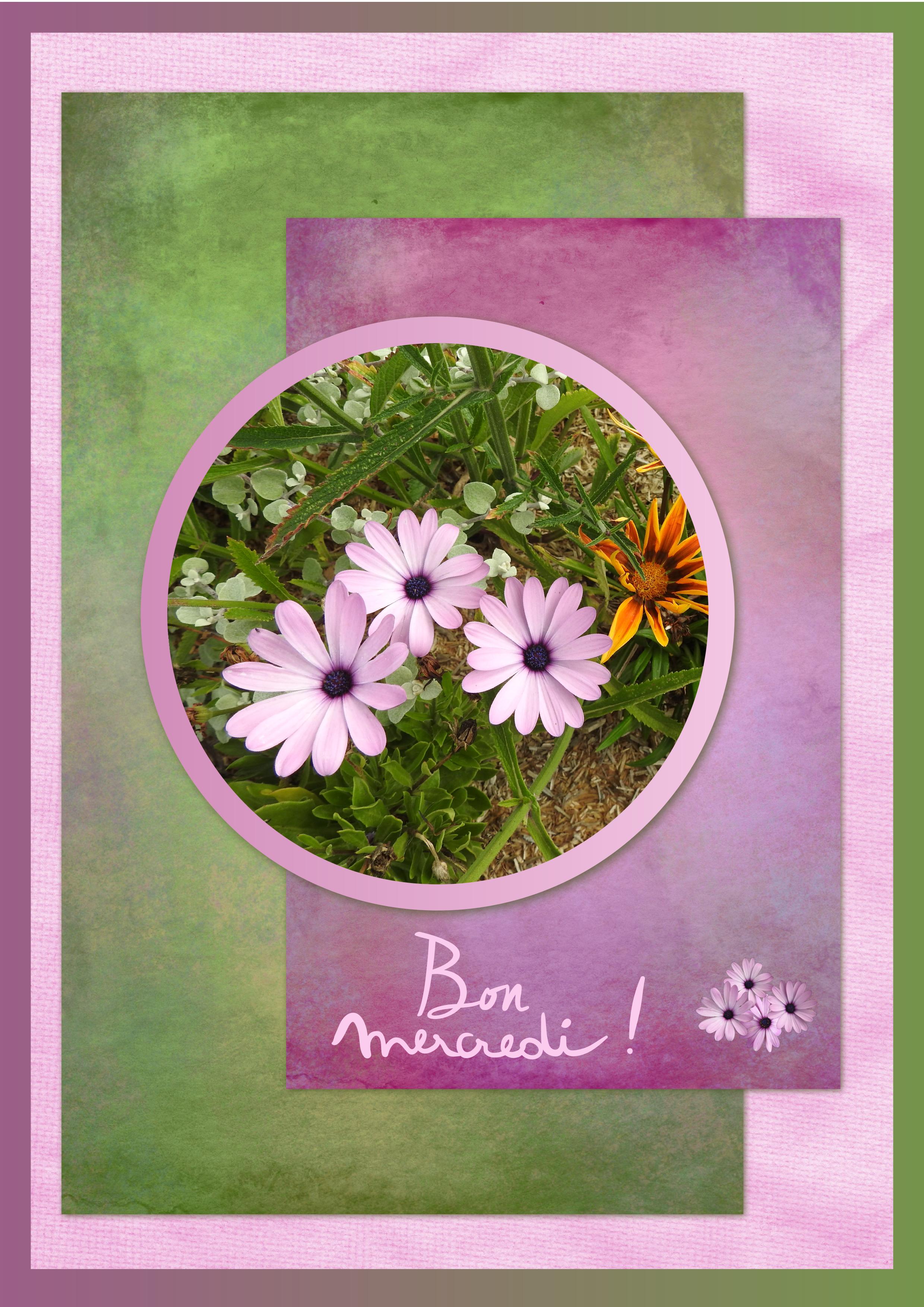 J - BON MERCREDI.jpg