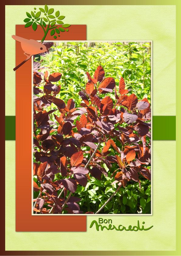 J - BON MERCREDI.jpg