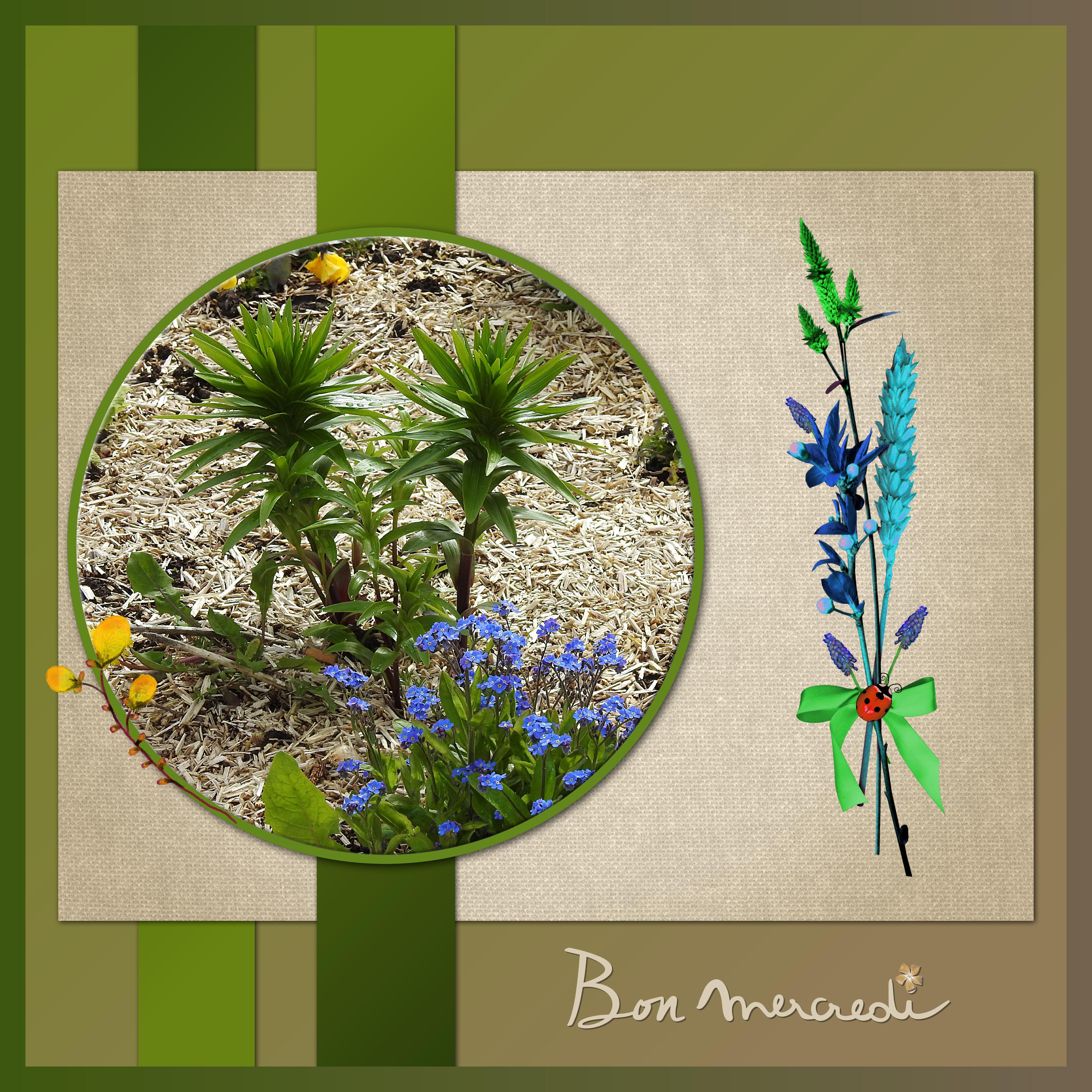 J - BON MERCREDI.jpg