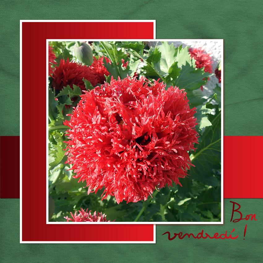 J - BON VENDREDI.jpg