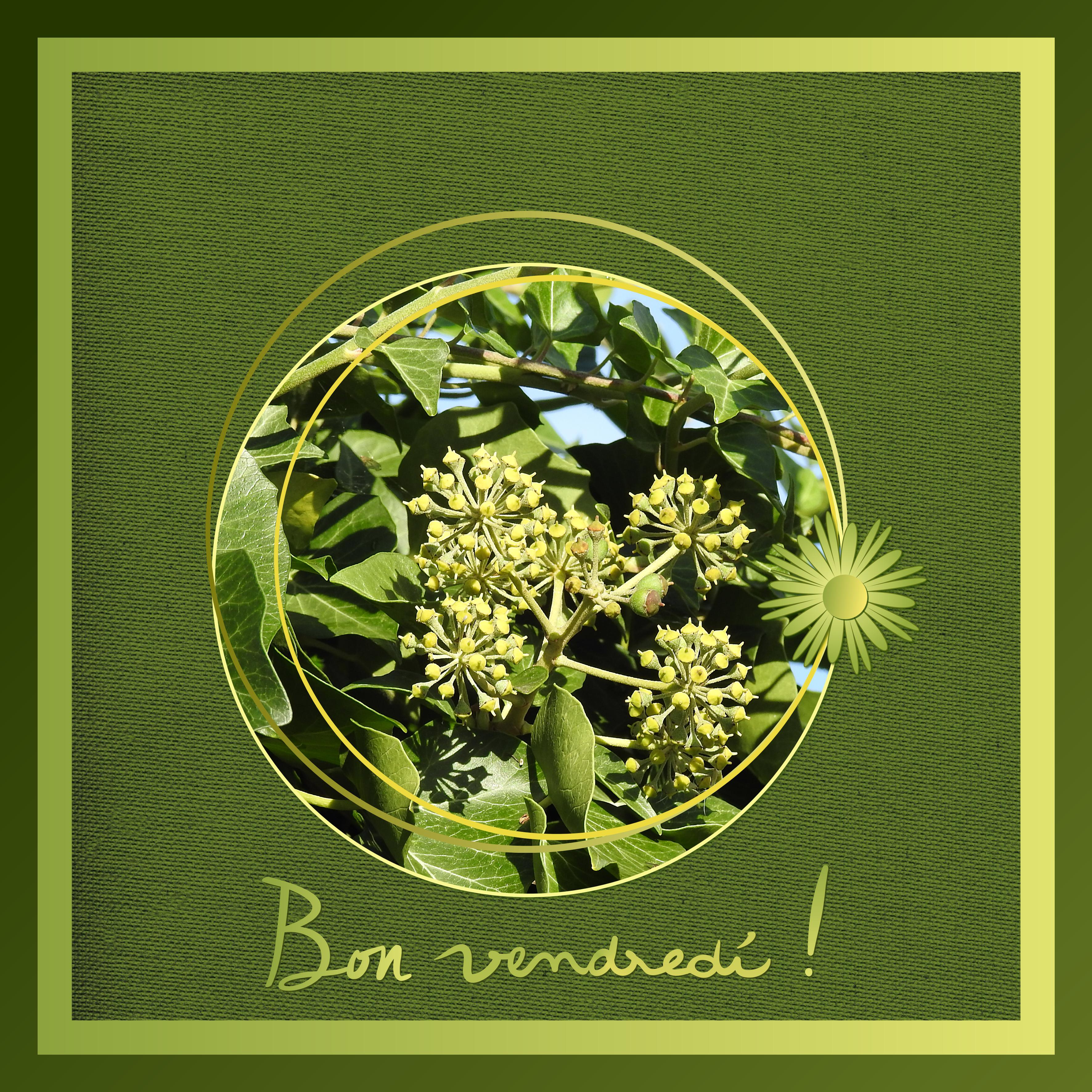 J - BON VENDREDI.jpg