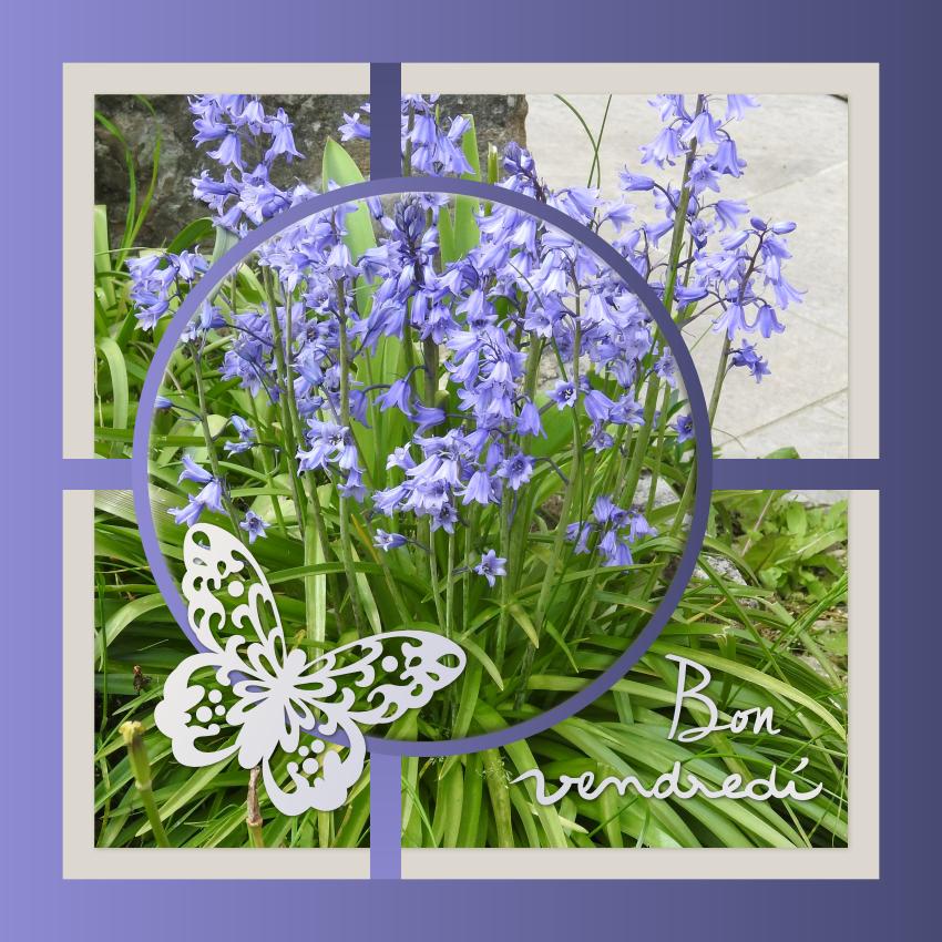 J - BON VENDREDI.jpg