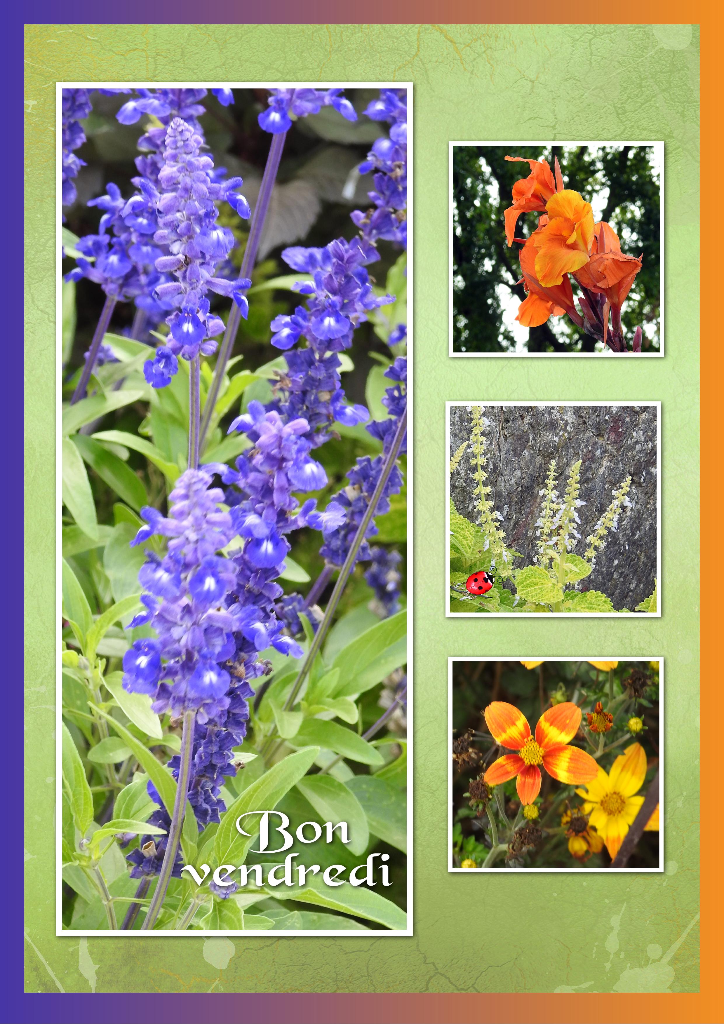 J - BON VENDREDI.jpg