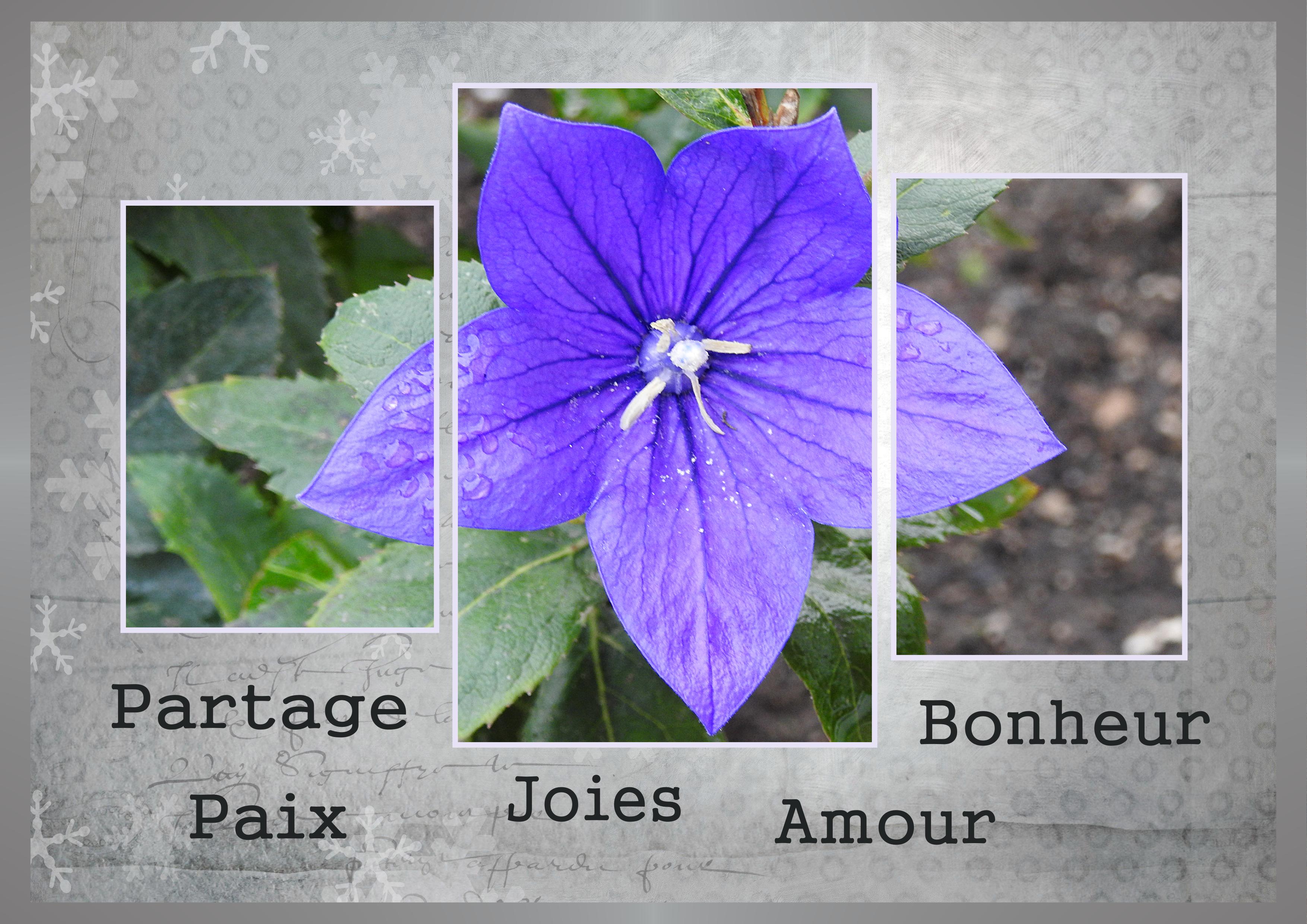 J - BONHEUR - AMOUR.jpg