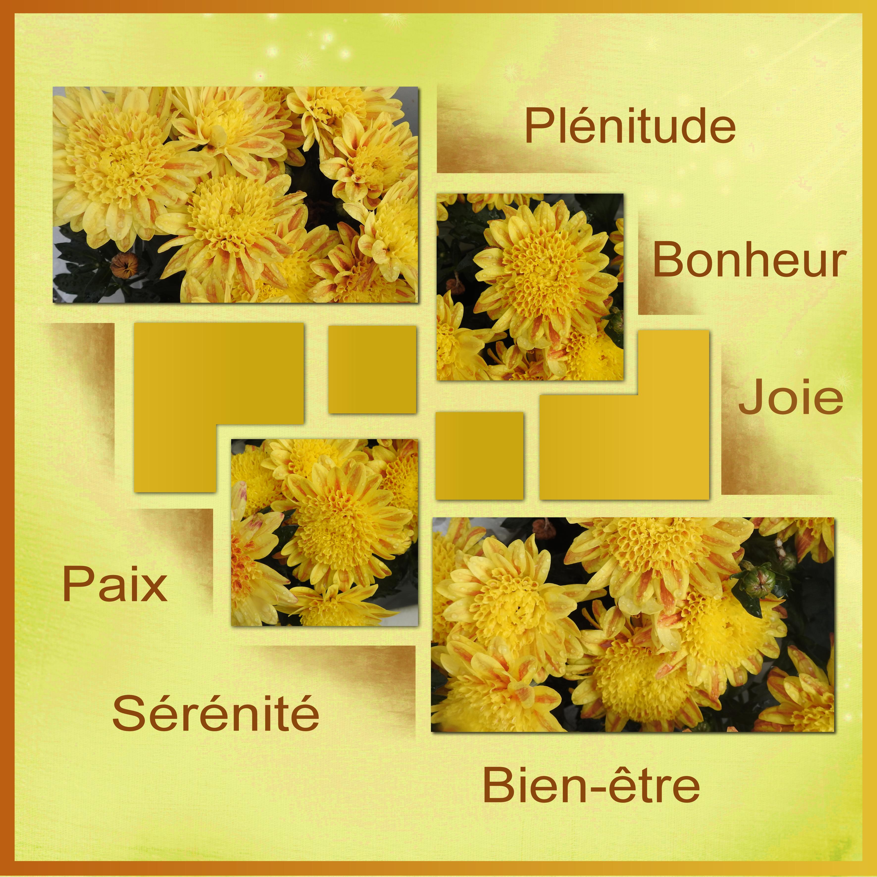 J - BONHEUR - PAIX.jpg