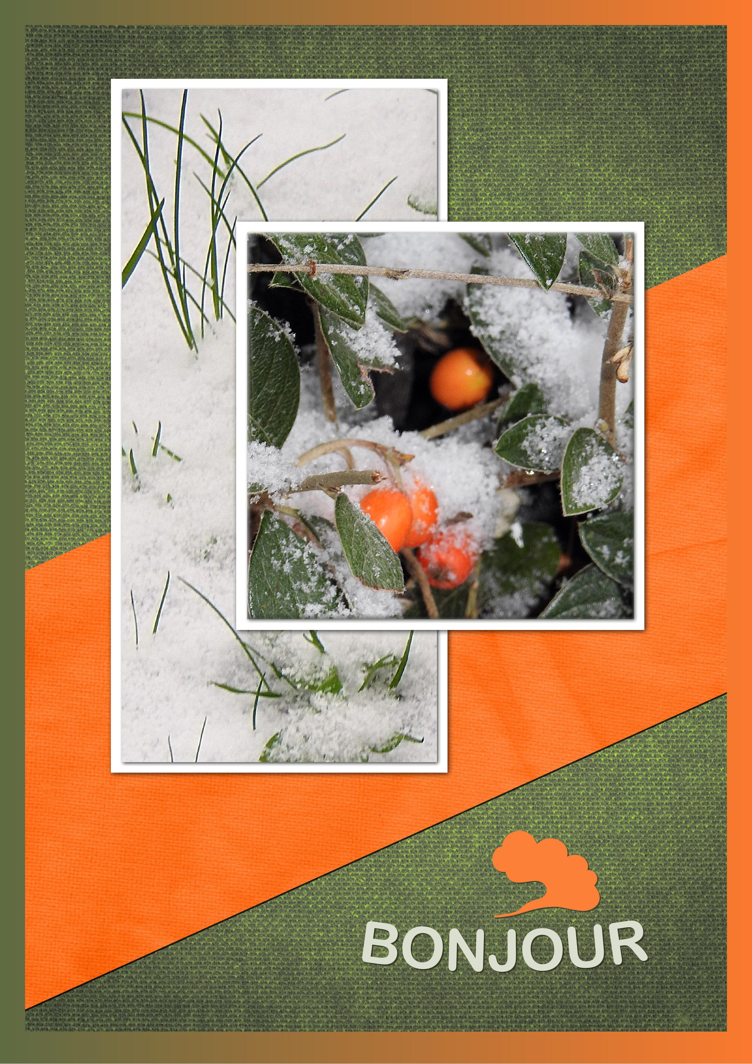 J - BONJOUR.jpg