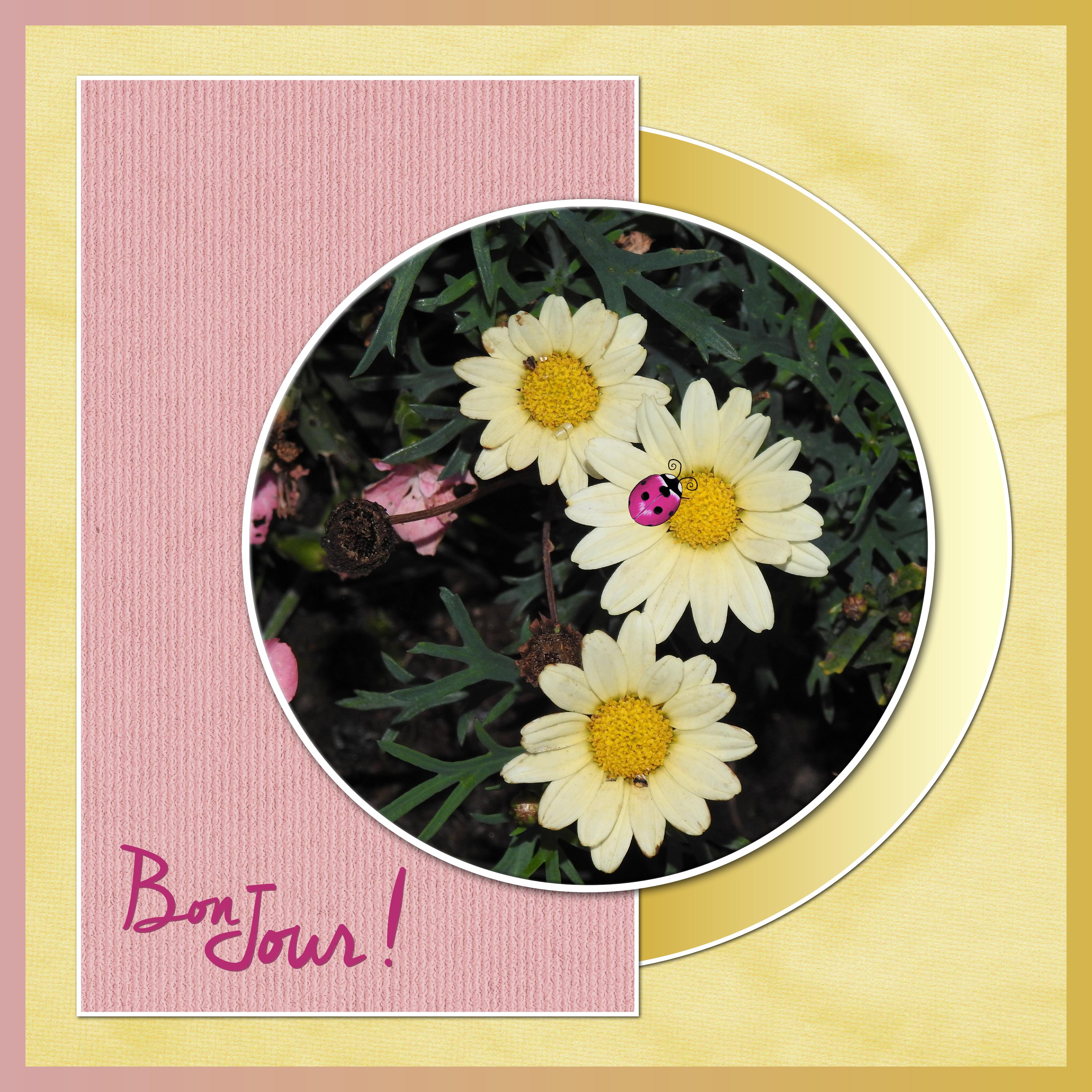 J - BONJOUR.jpg