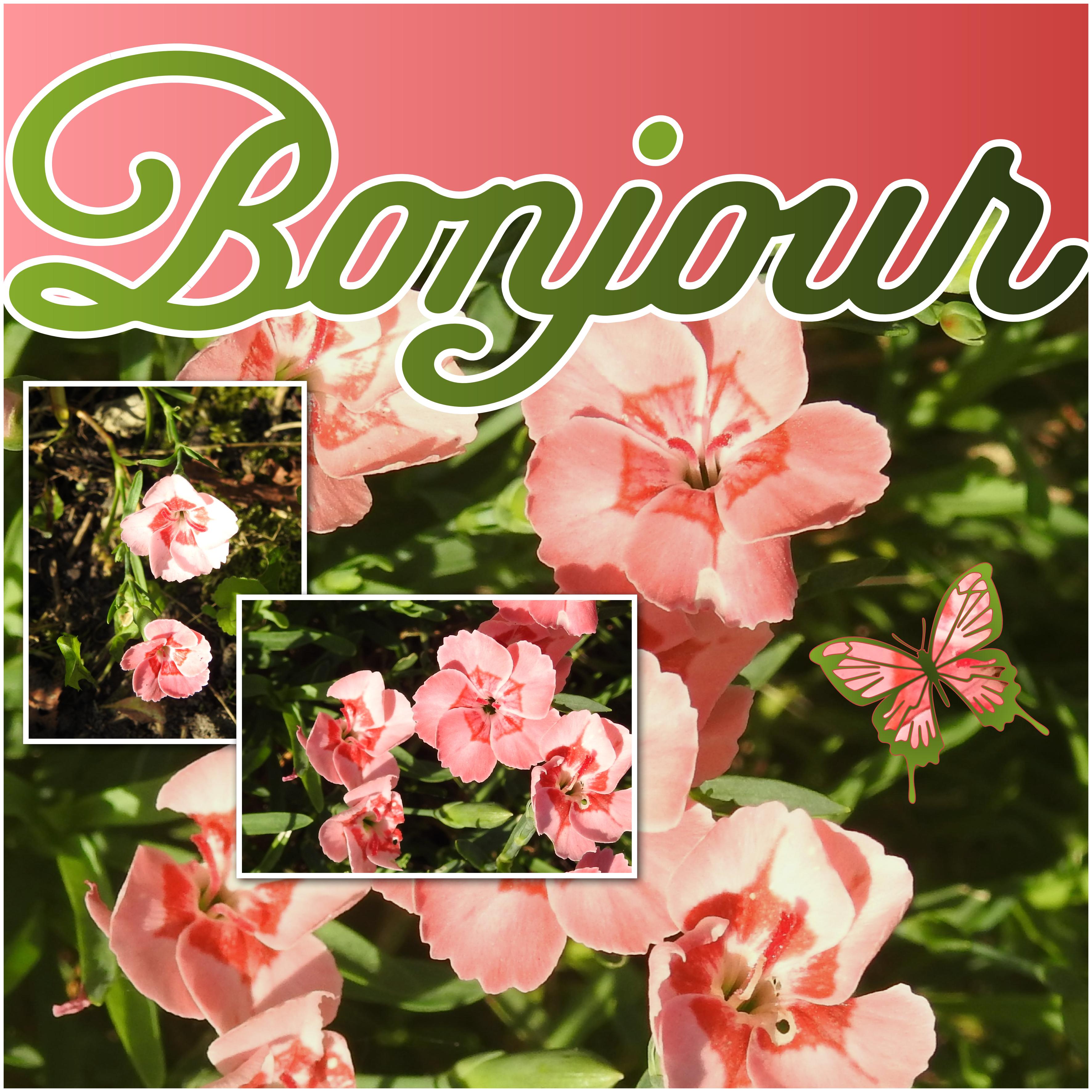 J - BONJOUR.jpg