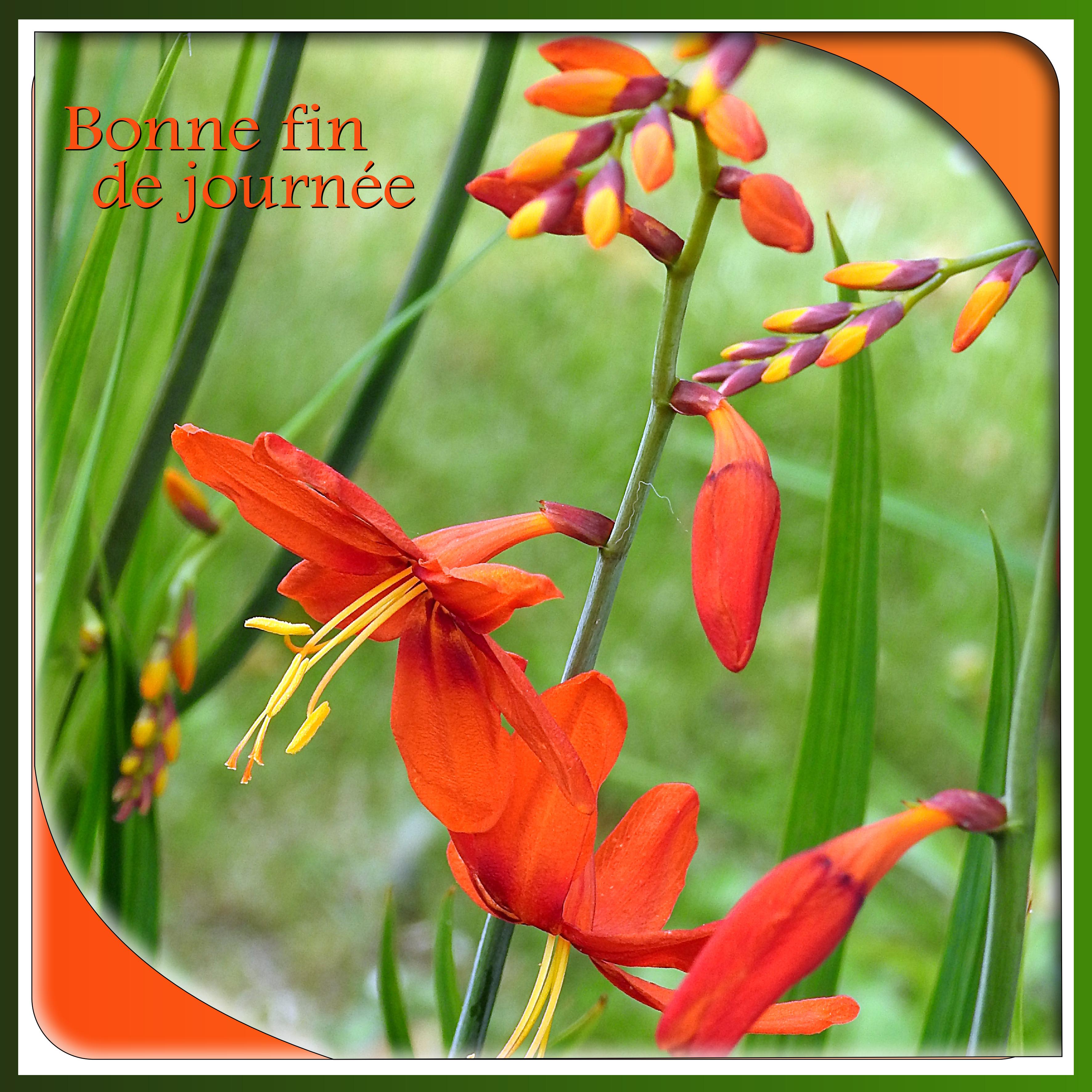 J - BONNE FIN DE JOURNEE.jpg