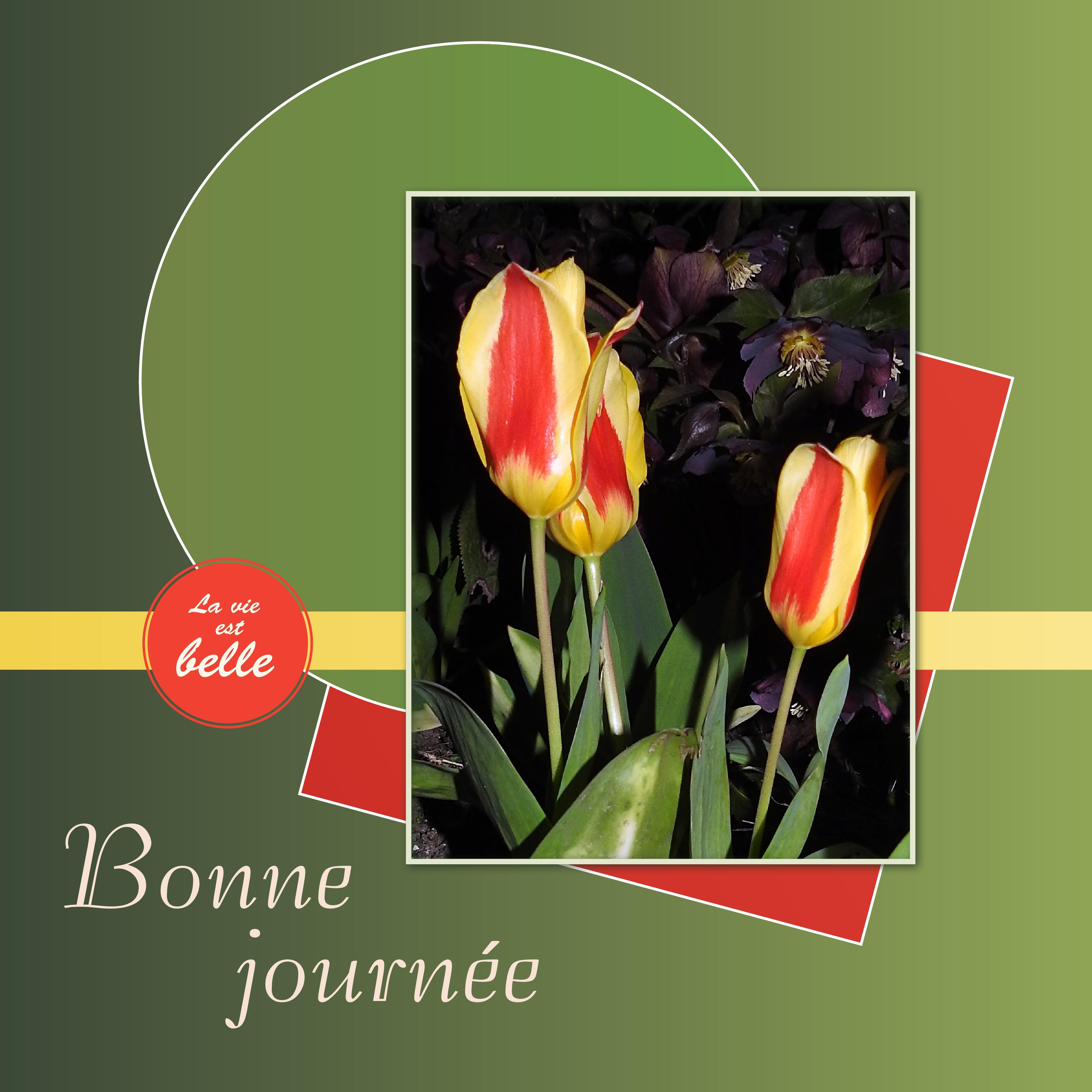 J - BONNE JOURNEE.jpg