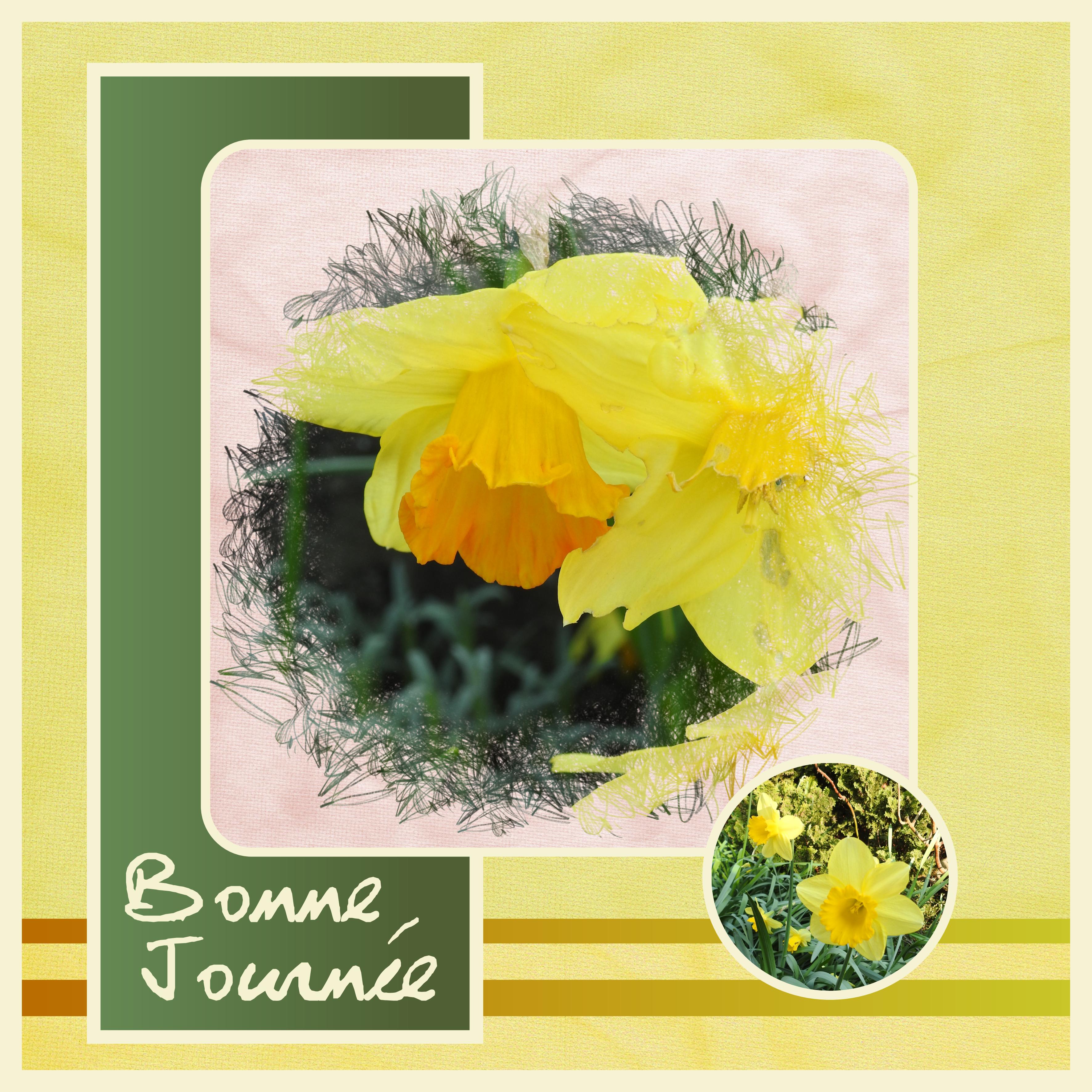 J - BONNE JOURNEE.jpg