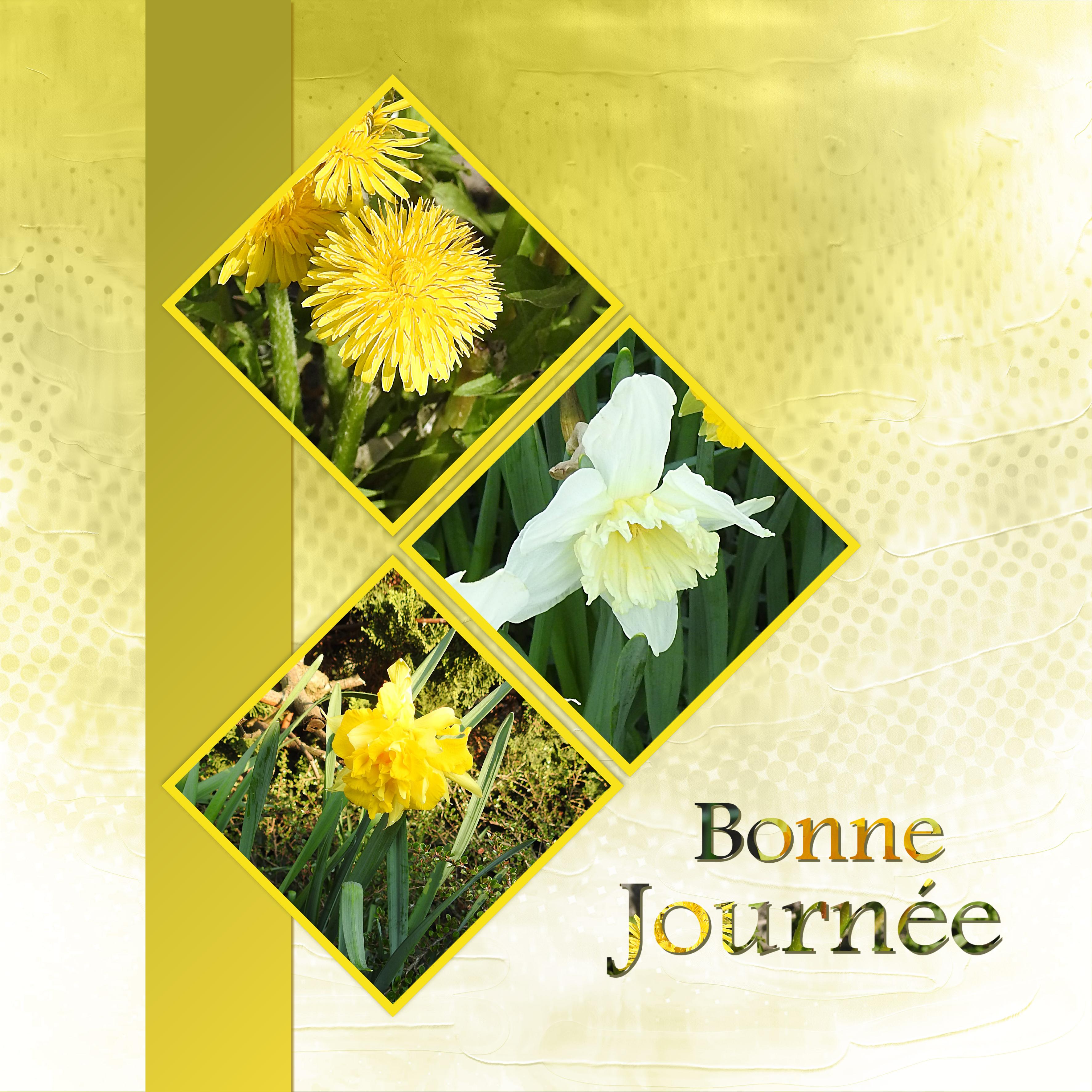 J - BONNE JOURNEE.jpg