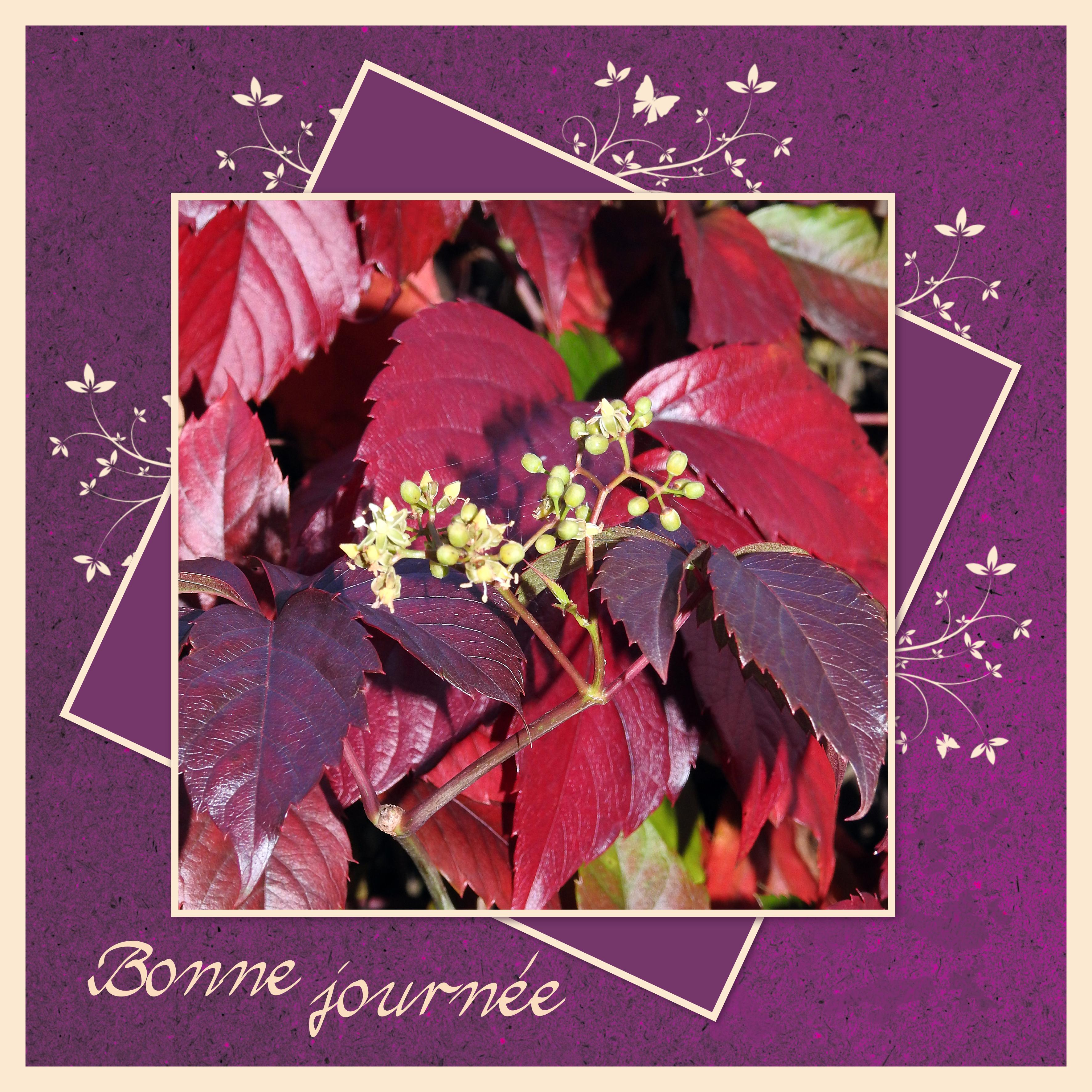 J - BONNE JOURNEE.jpg