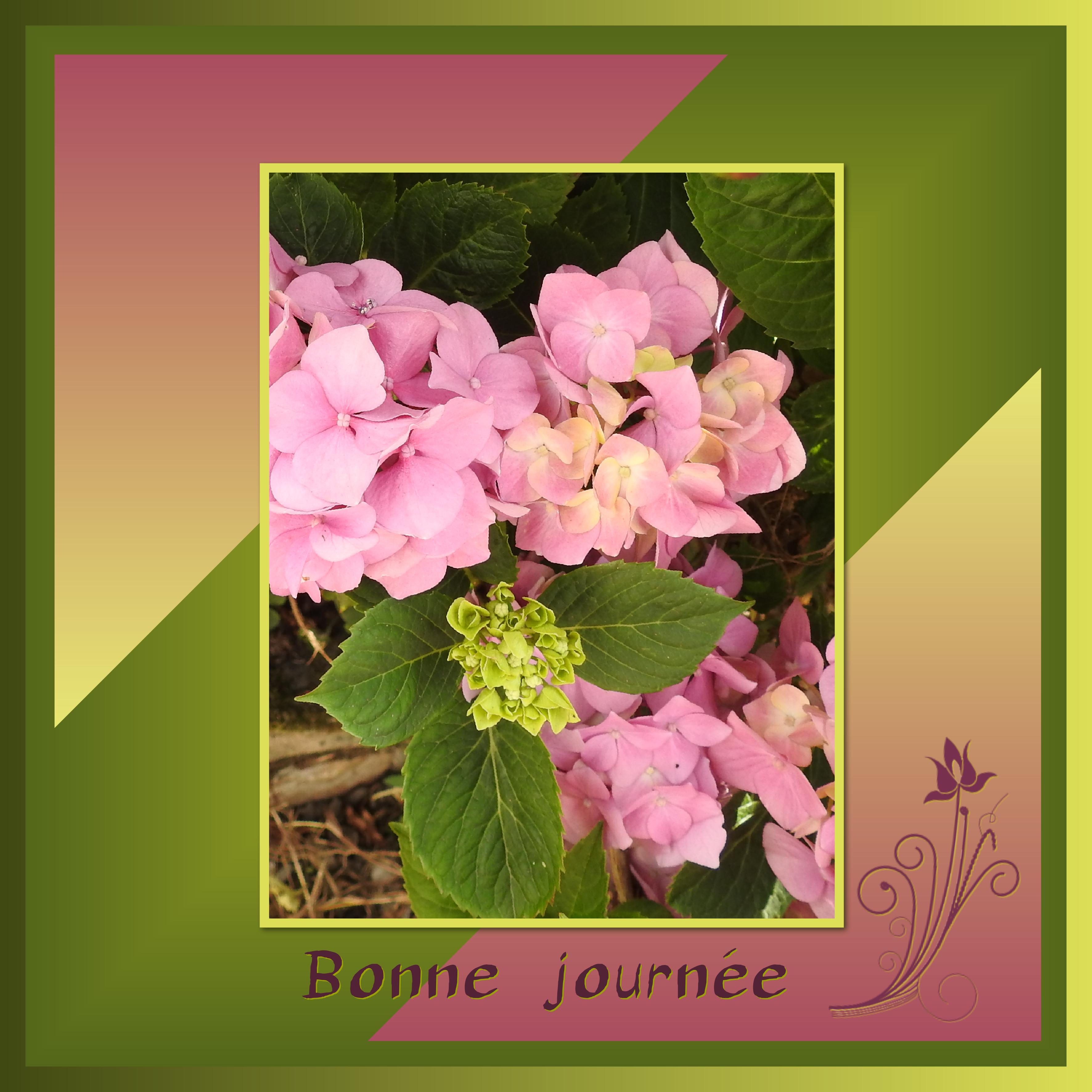 J - BONNE JOURNEE.jpg