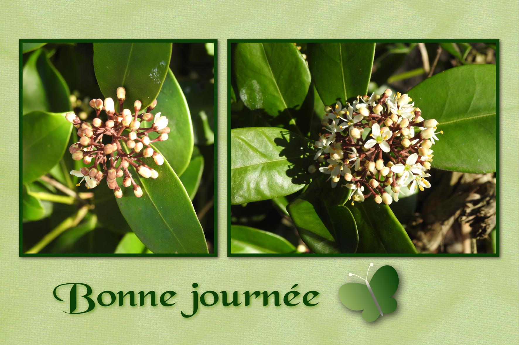 J - BONNE JOURNEE.jpg