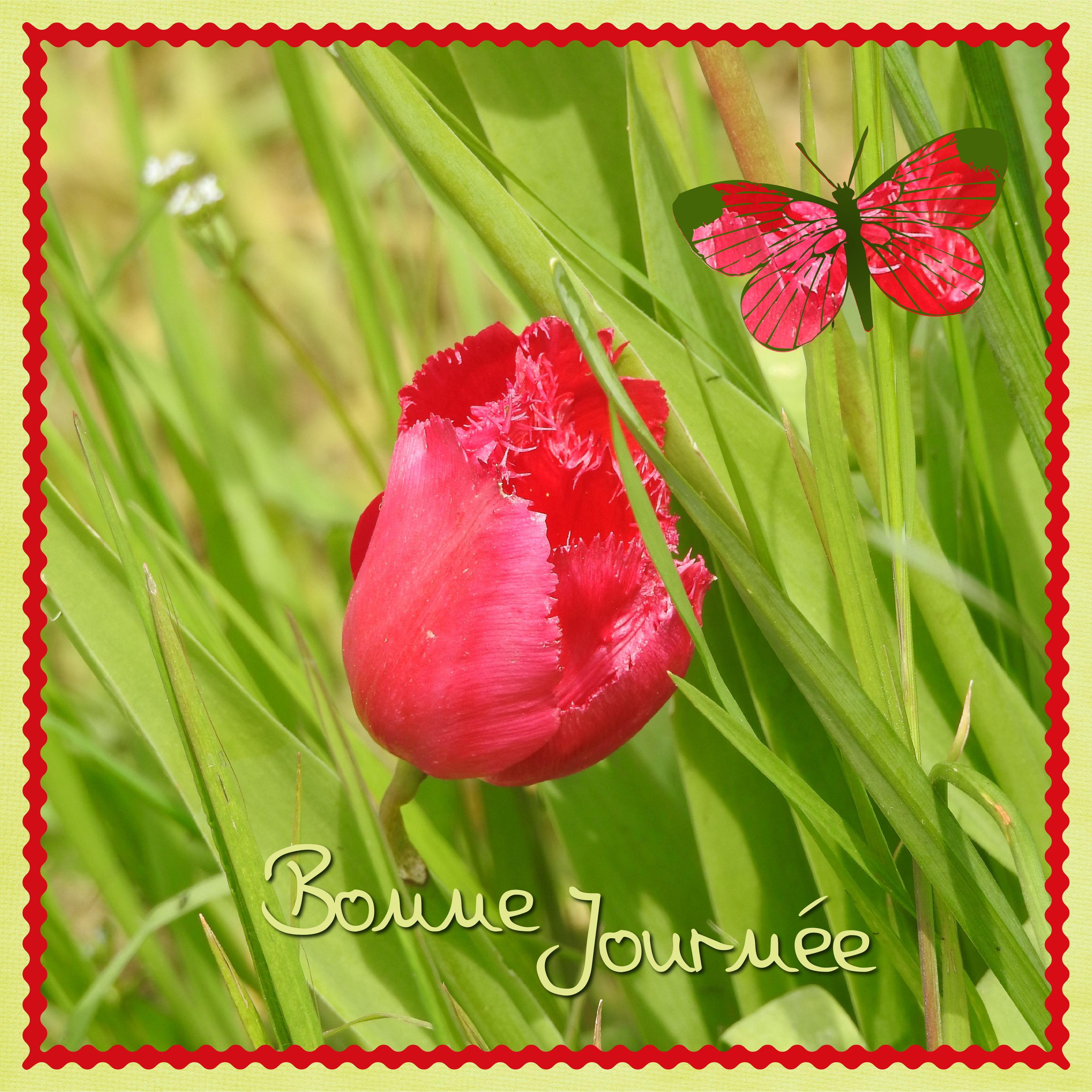 J - BONNE JOURNEE.jpg