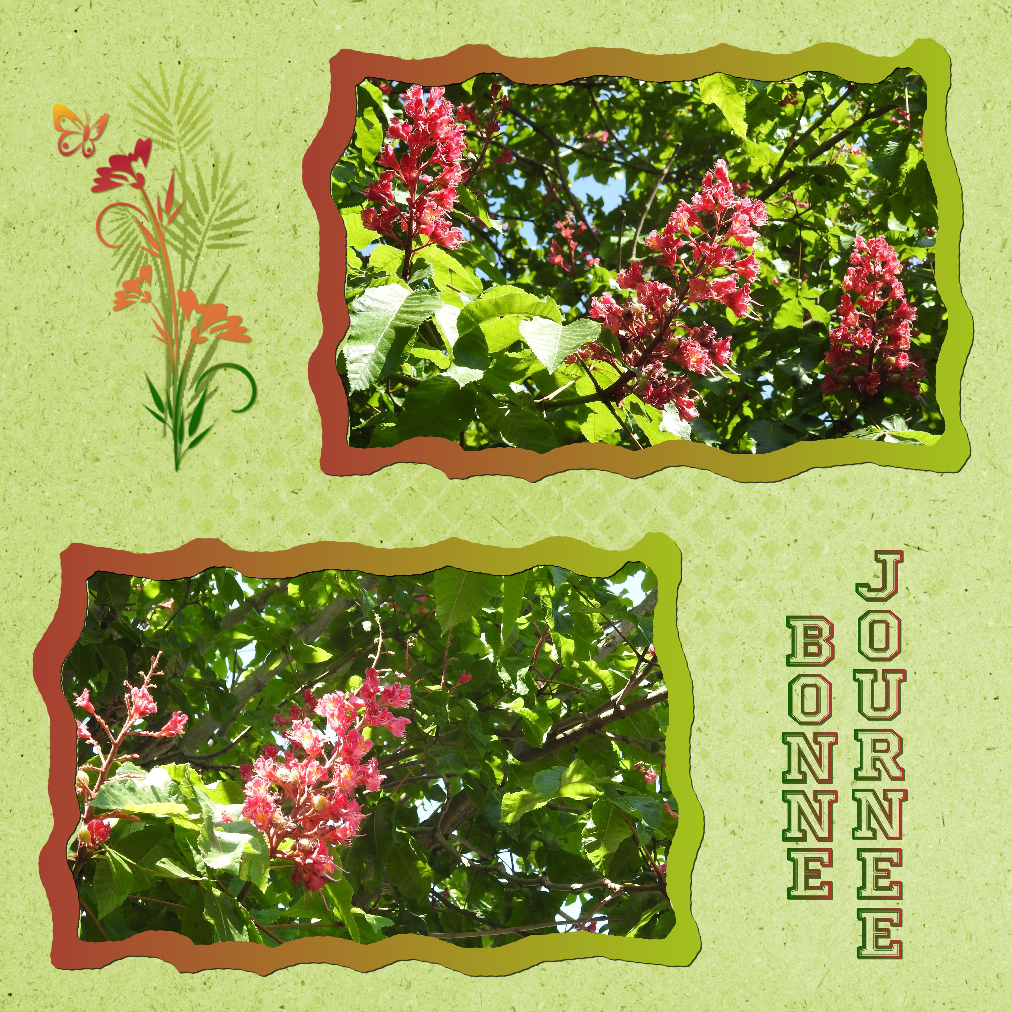 J - BONNE JOURNEE.jpg