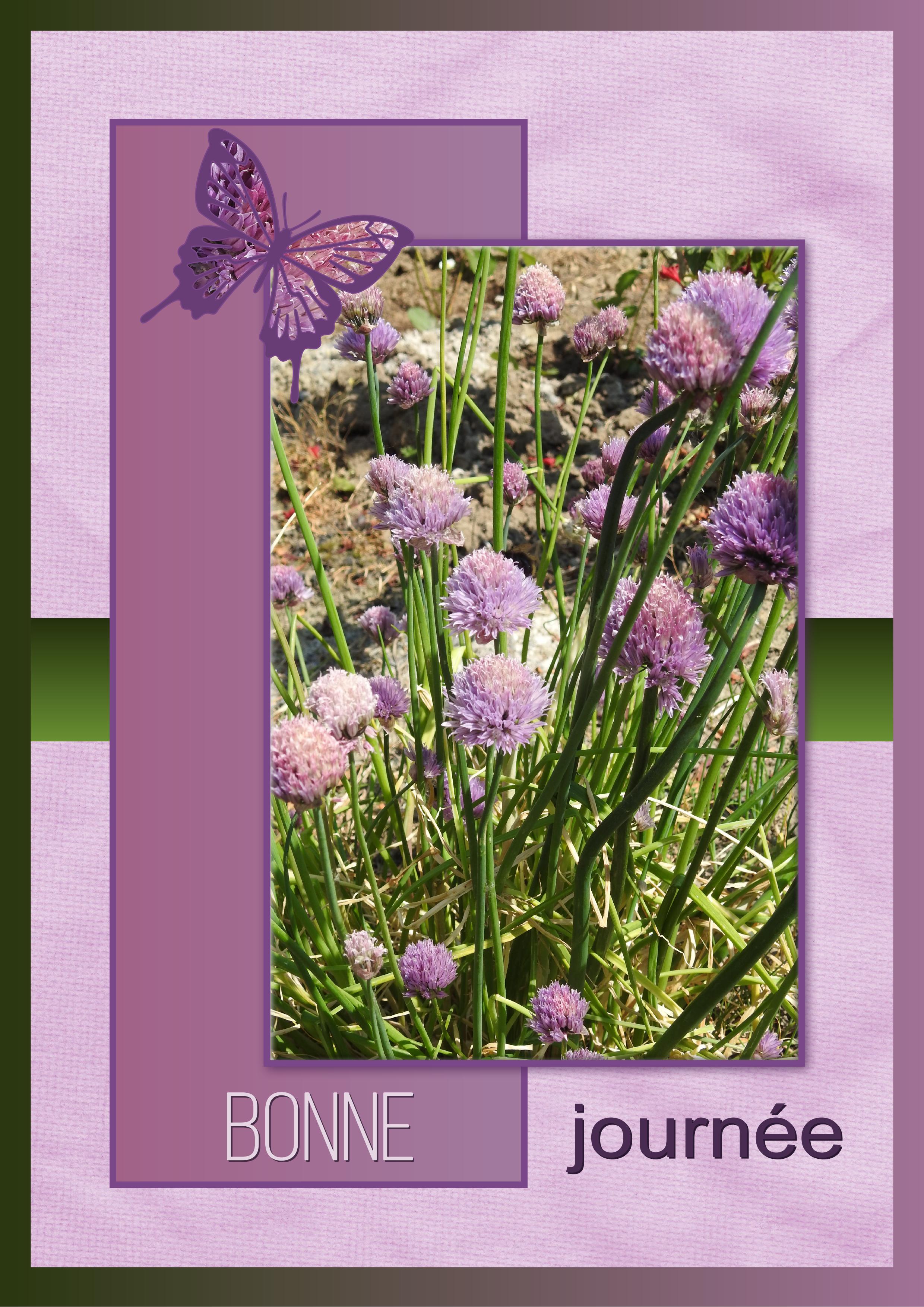 J - BONNE JOURNEE.jpg