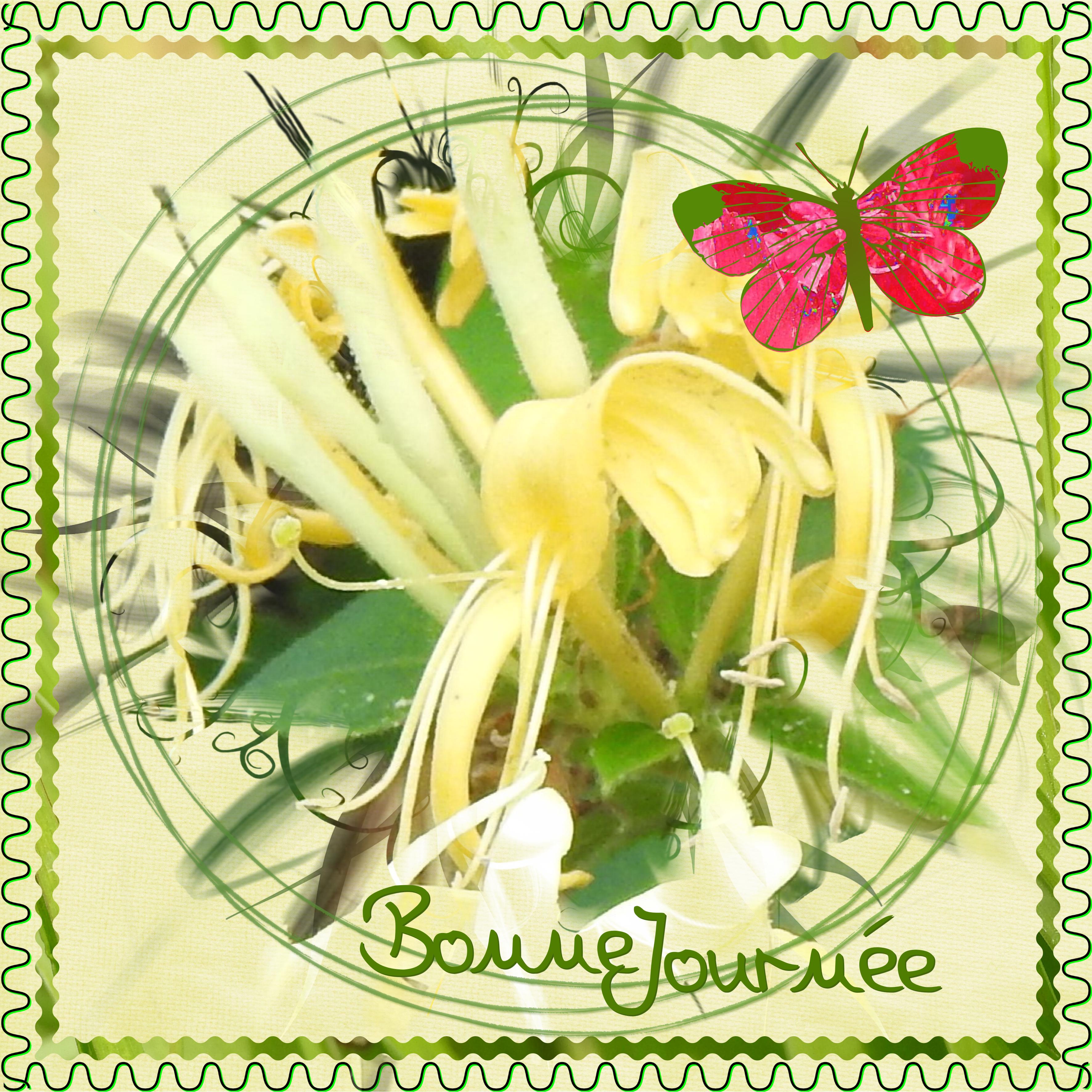 J - BONNE JOURNEE.jpg