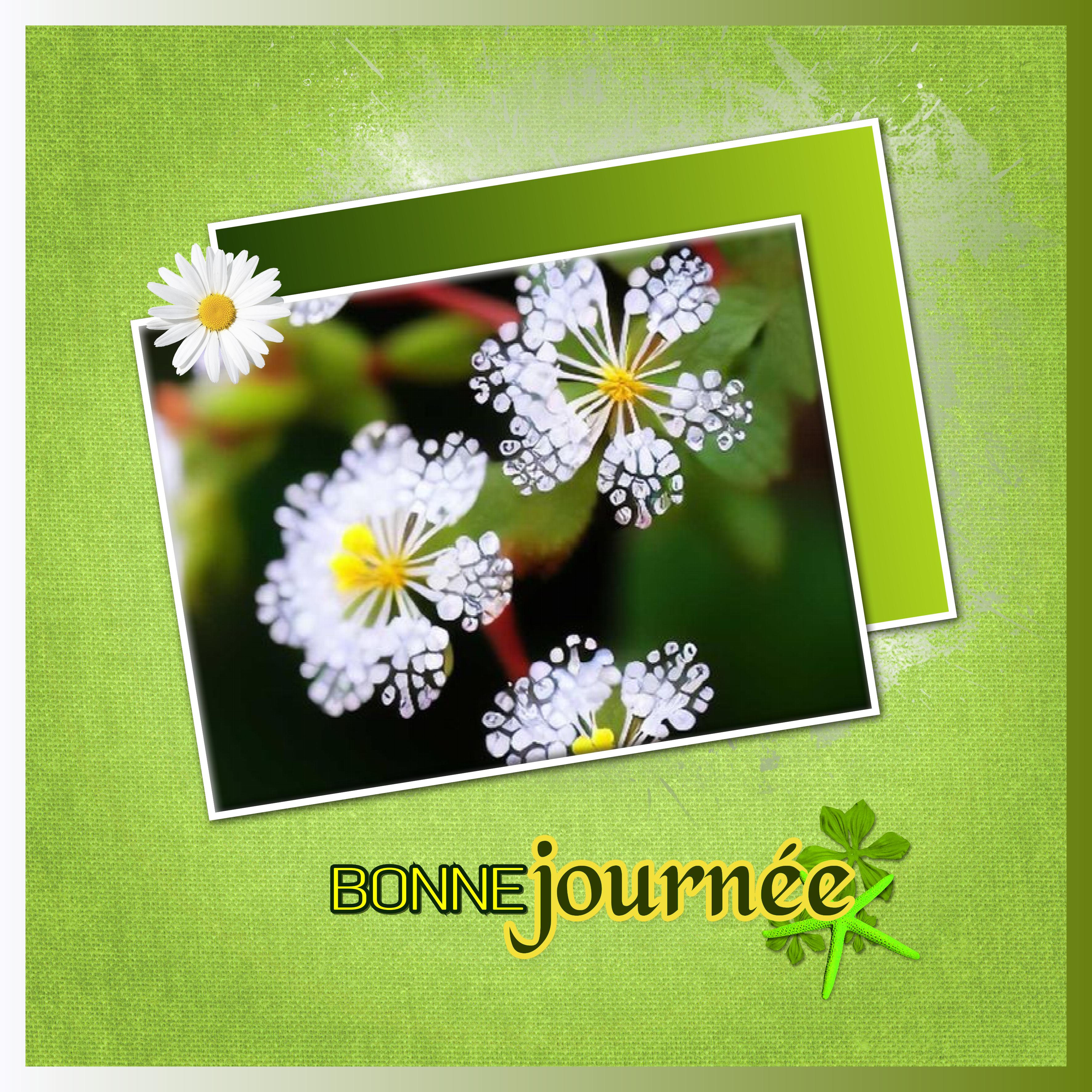 J - BONNE JOURNEE.jpg