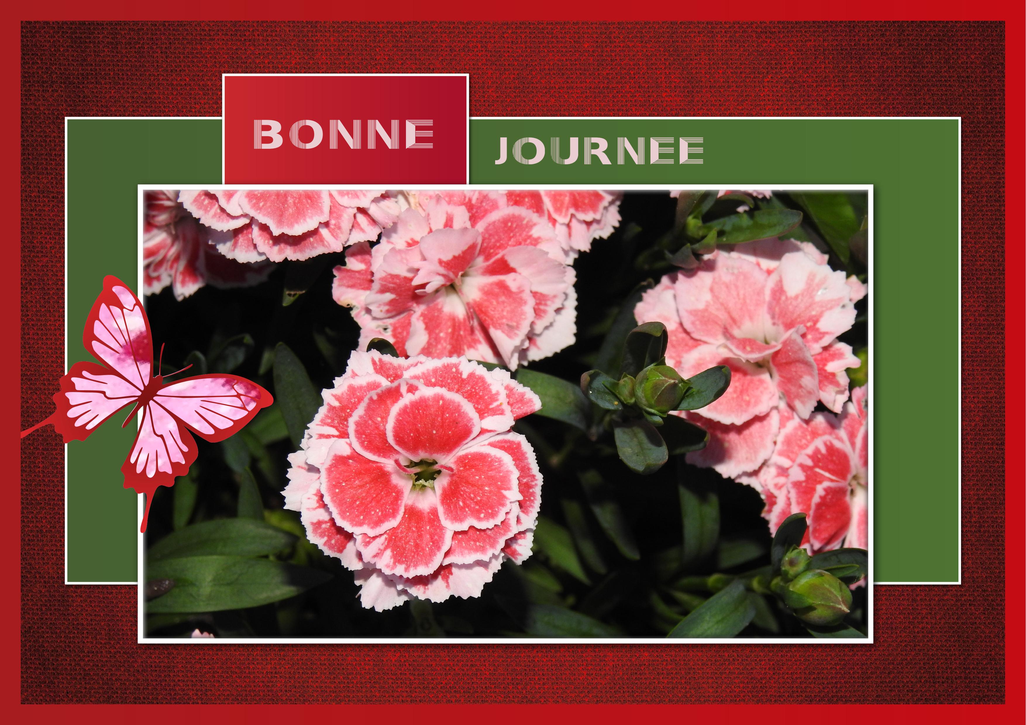 J - BONNE JOURNEE.jpg