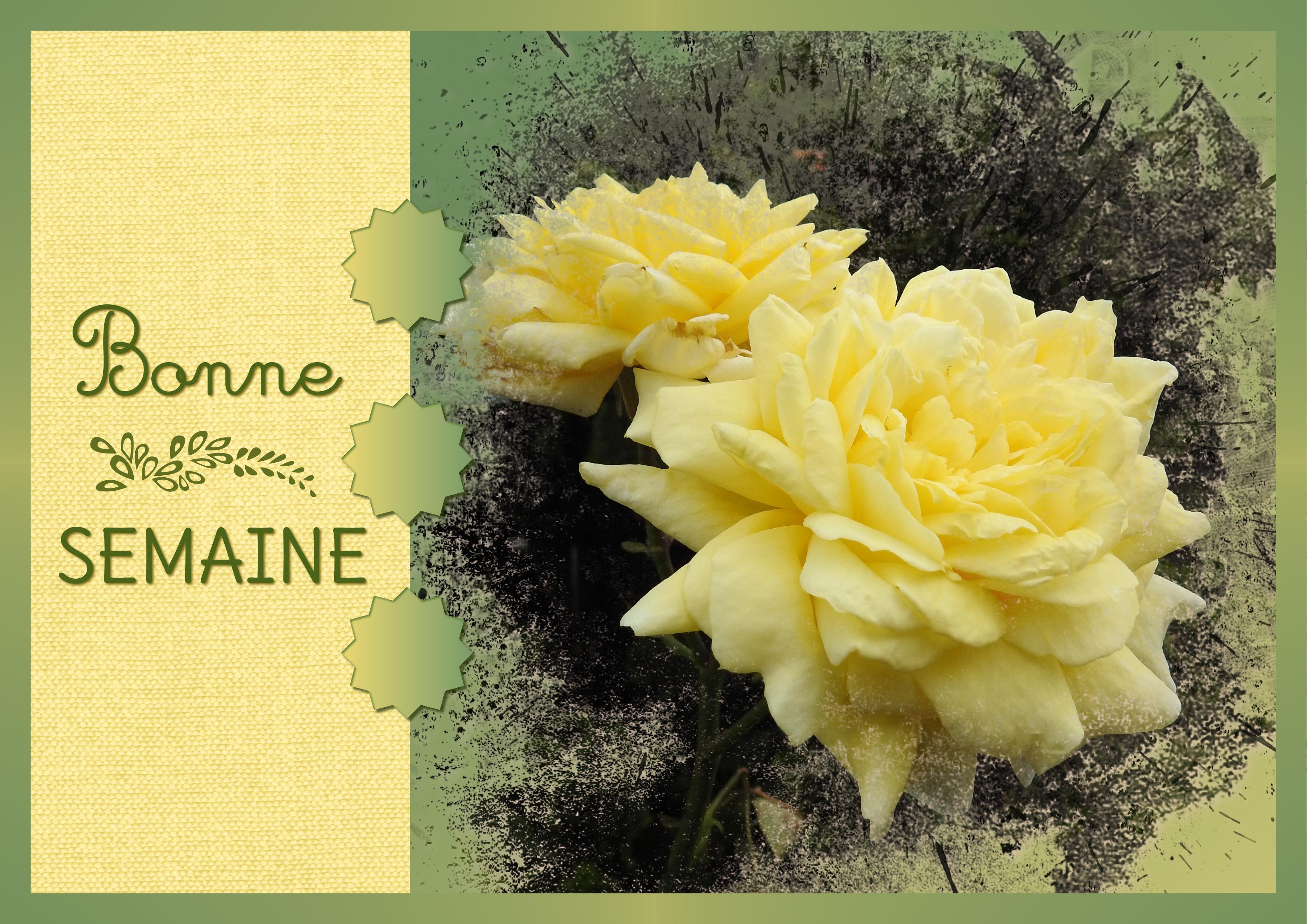 J - BONNE SEMAINE.jpg