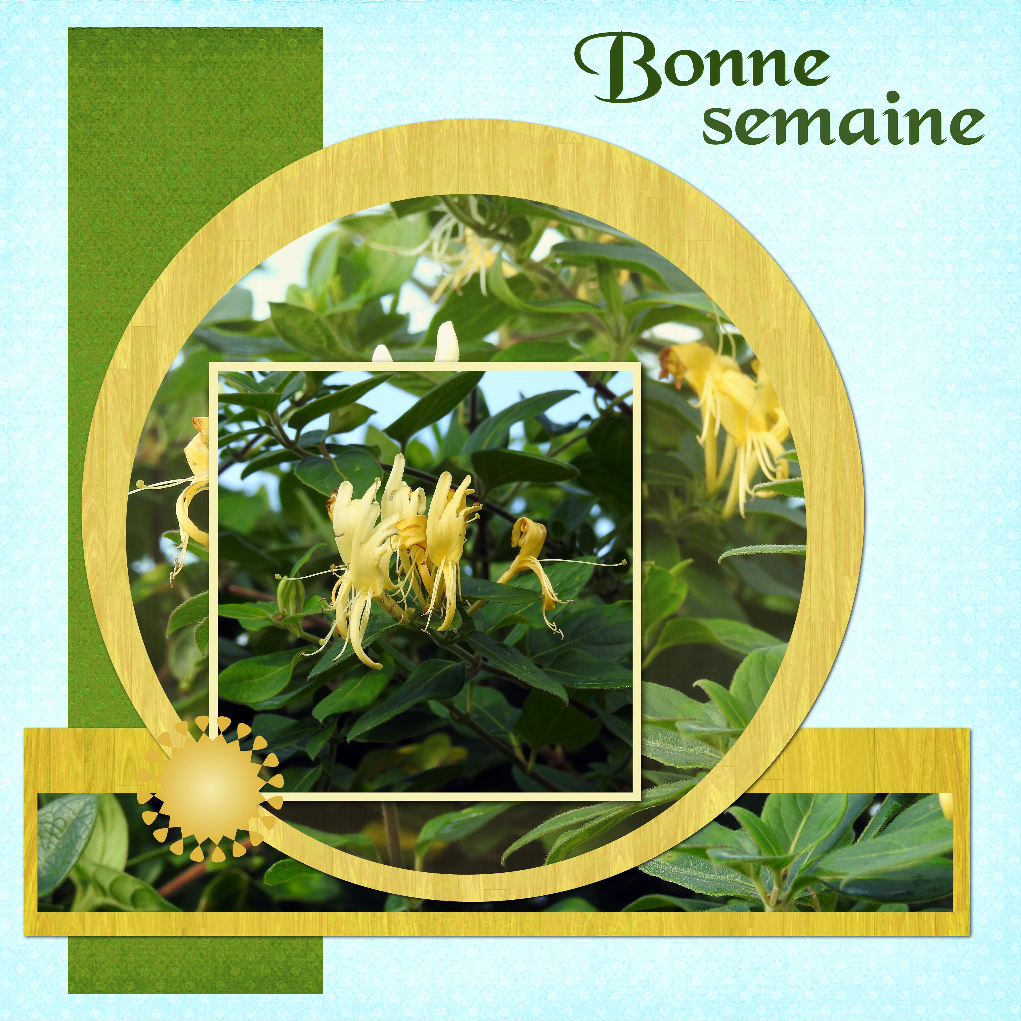 J - BONNE SEMAINE.jpg