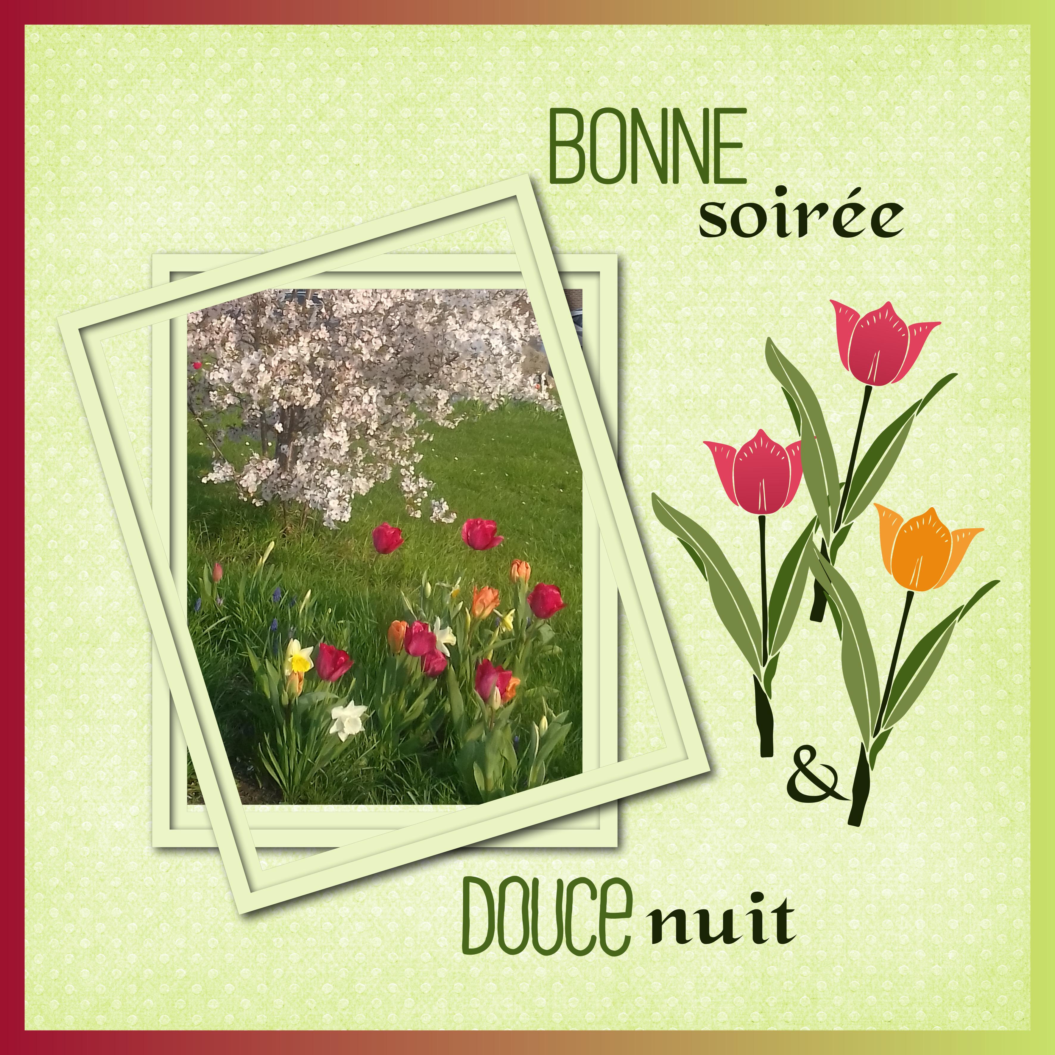 J - BONNE SOIREE ET DOUCE NUIT.jpg