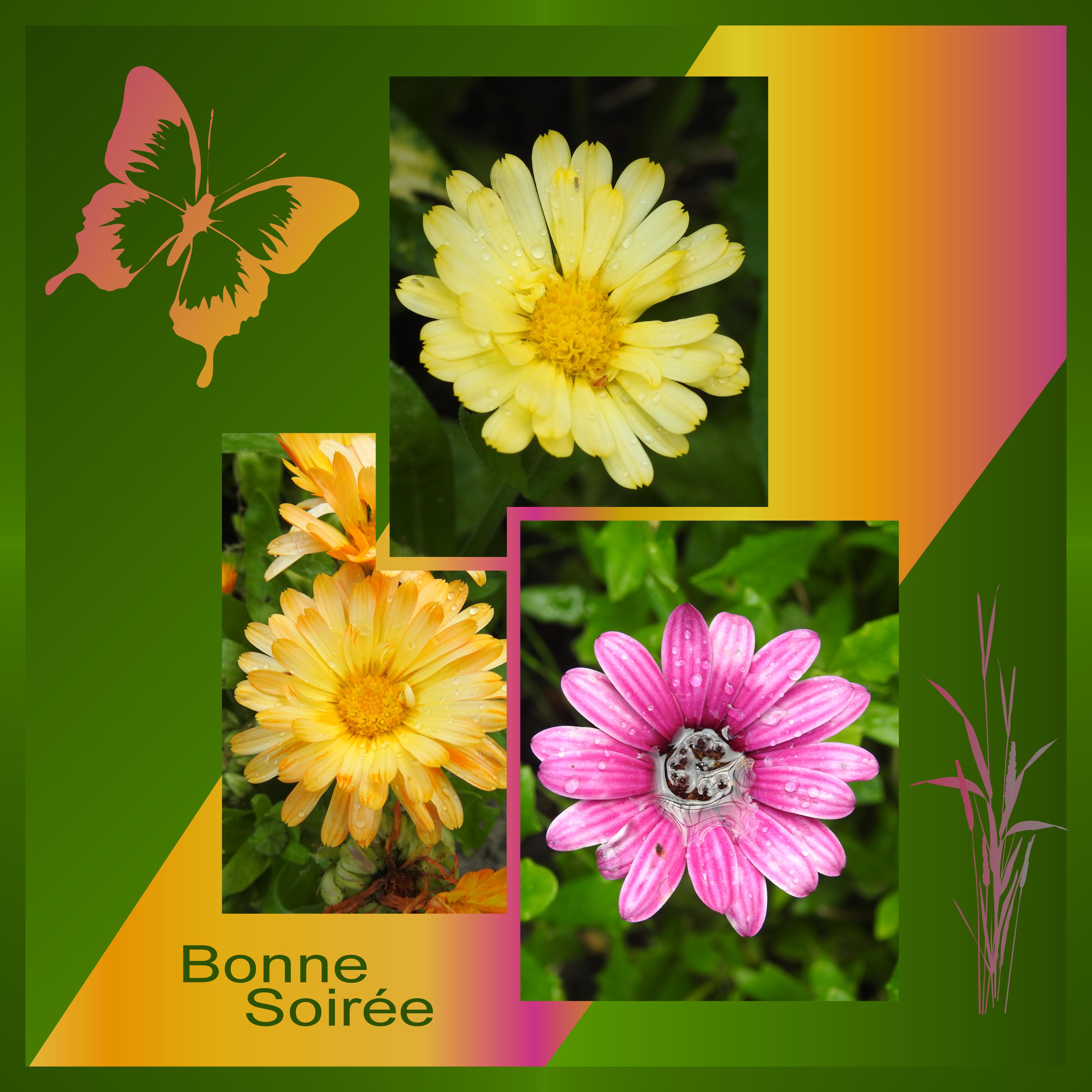 J - BONNE SOIREE.jpg