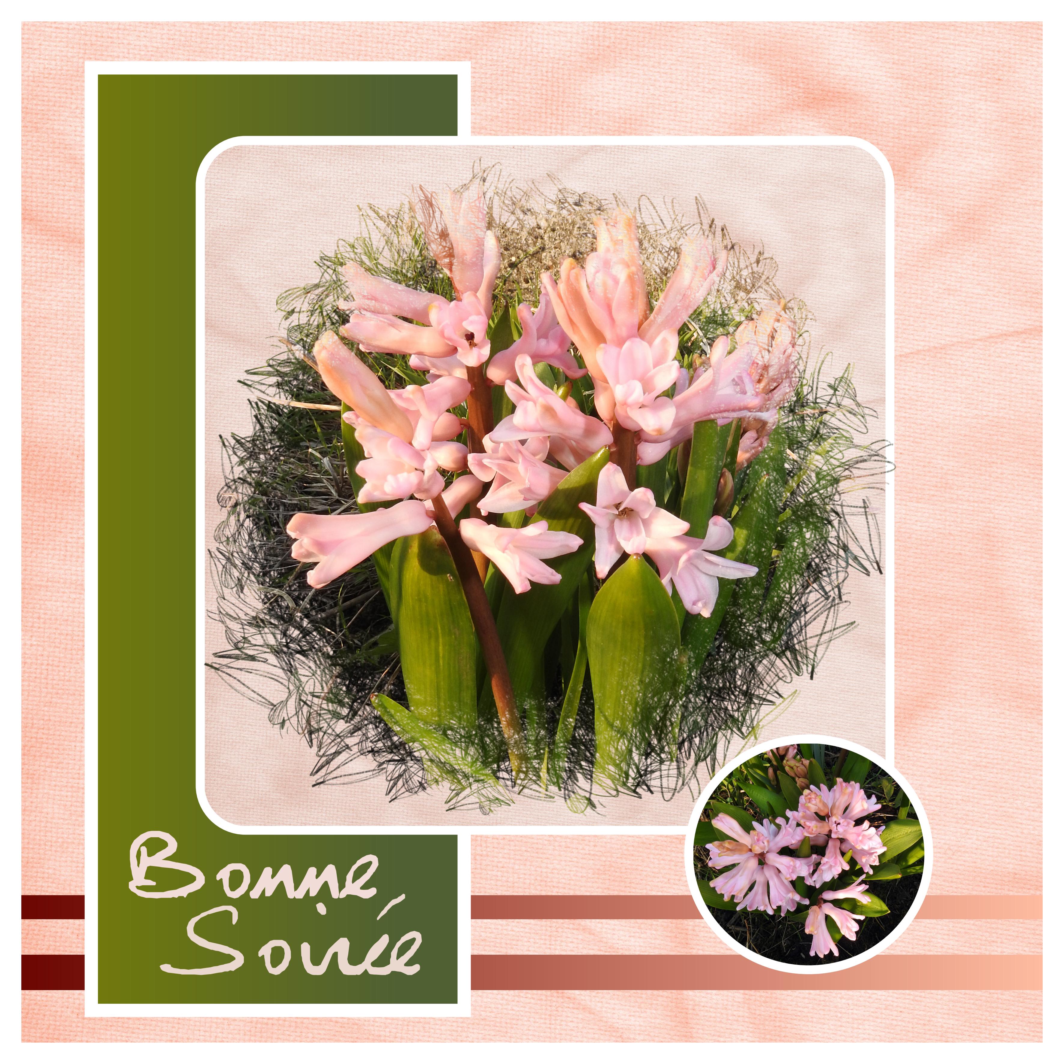 J - BONNE SOIREE.jpg