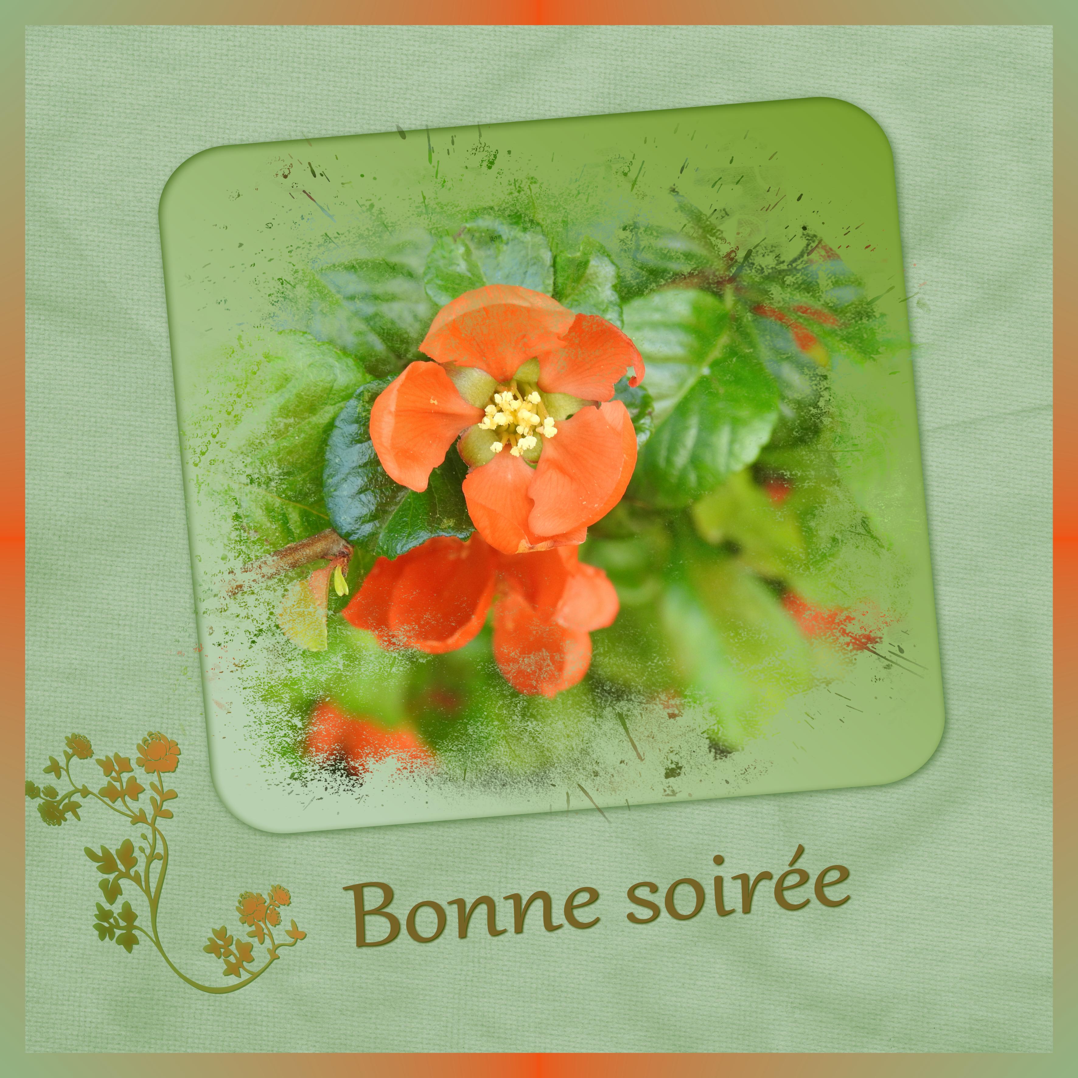 J - BONNE SOIREE.jpg