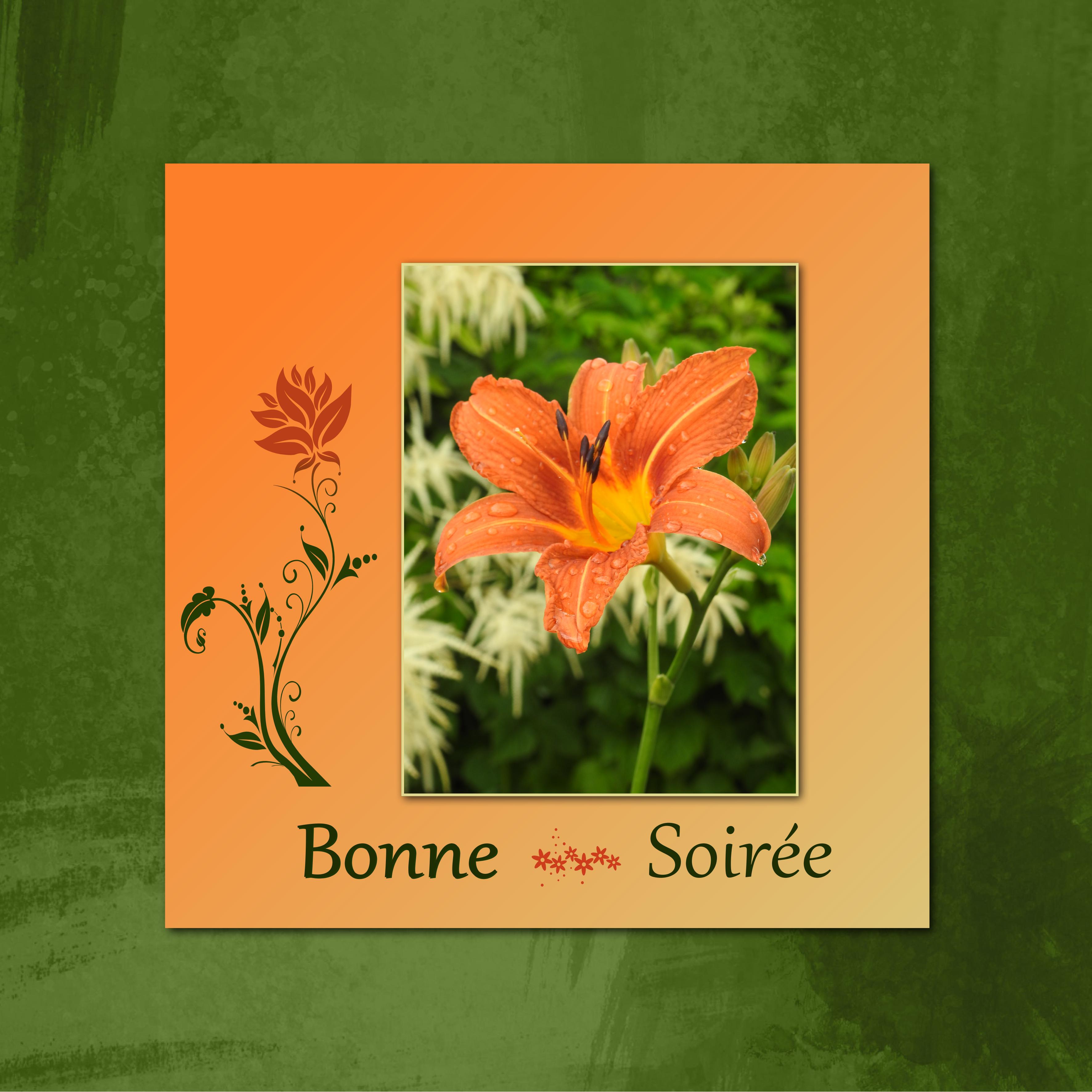 J - BONNE SOIREE.jpg