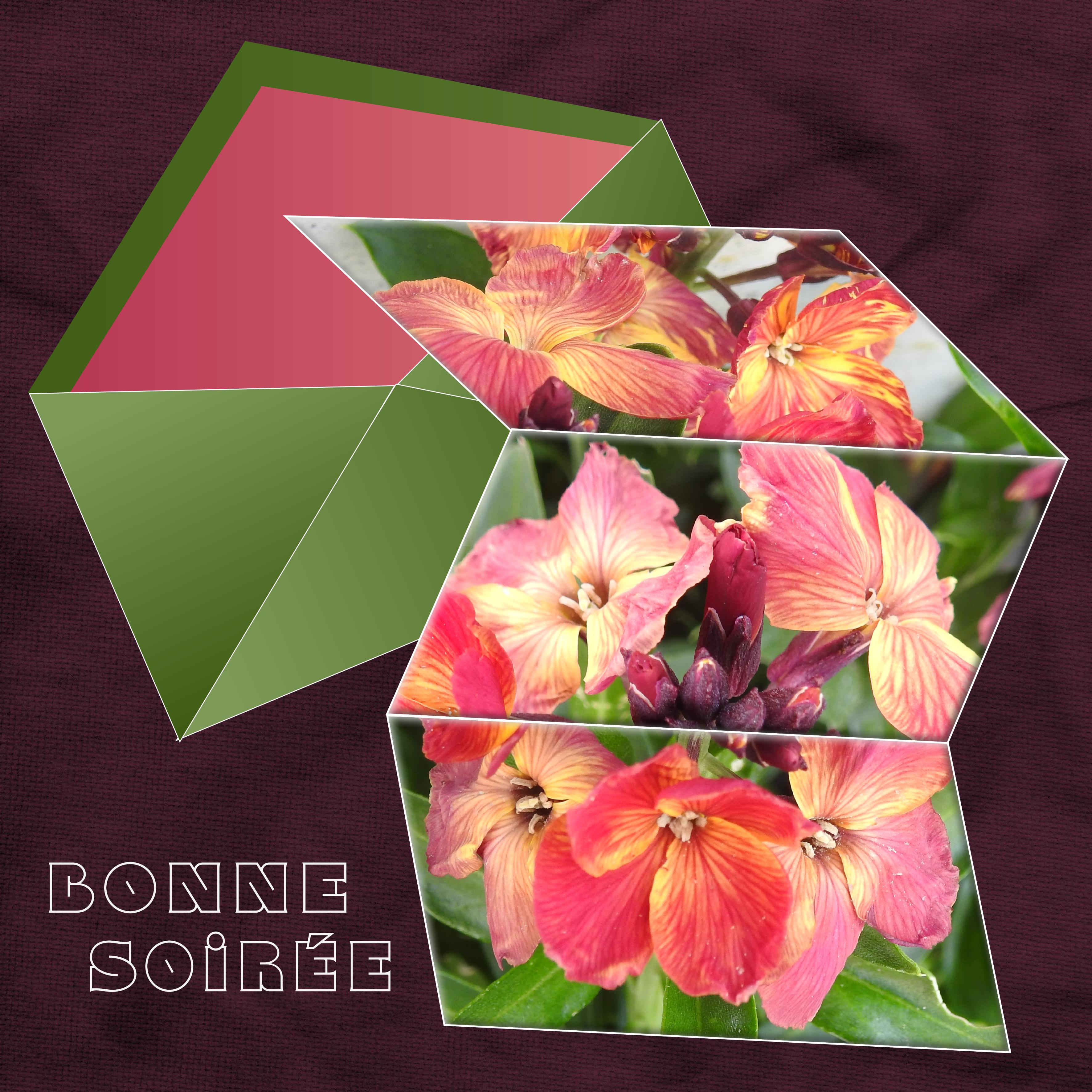 J - BONNE SOIREE.jpg