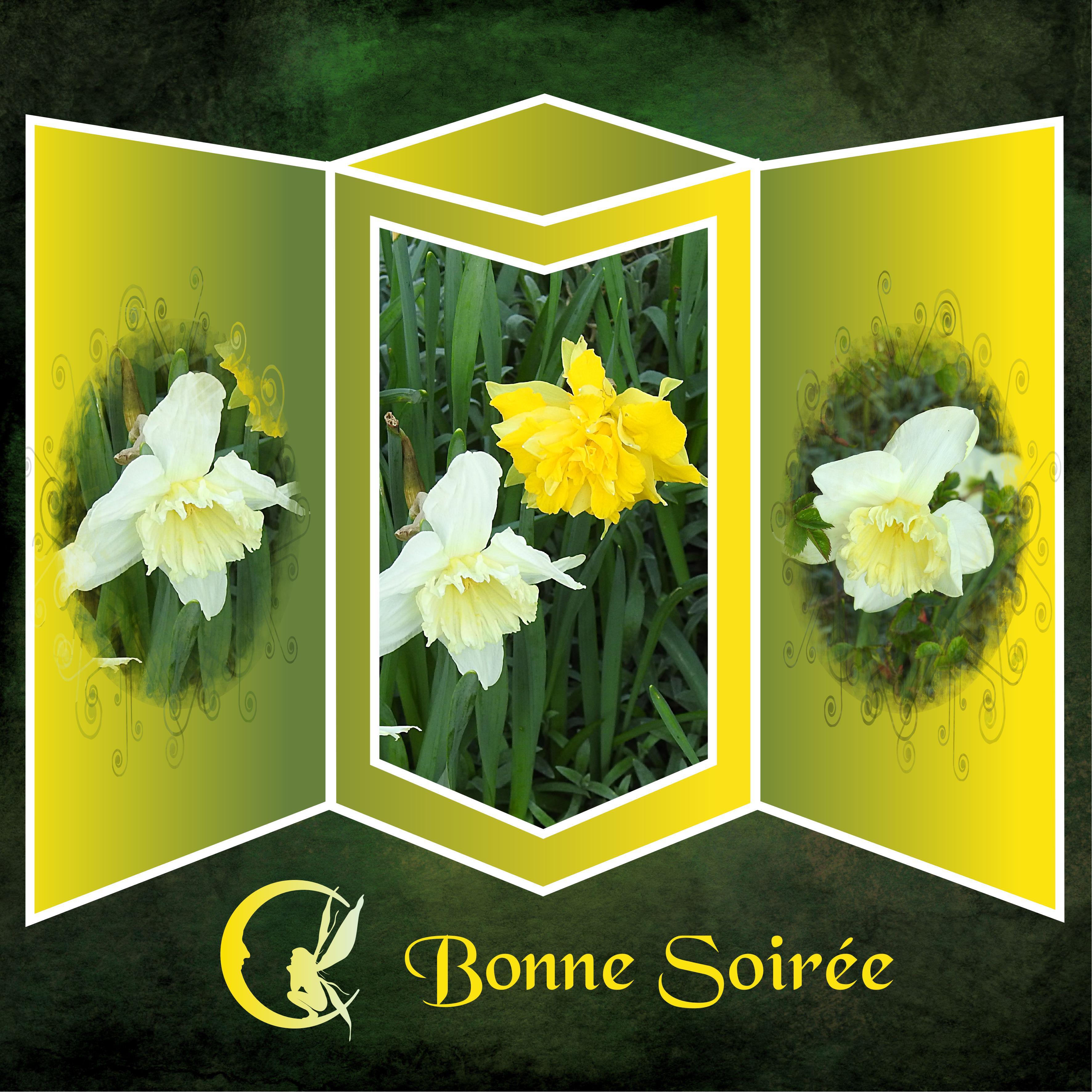 J - BONNE SOIREE.jpg