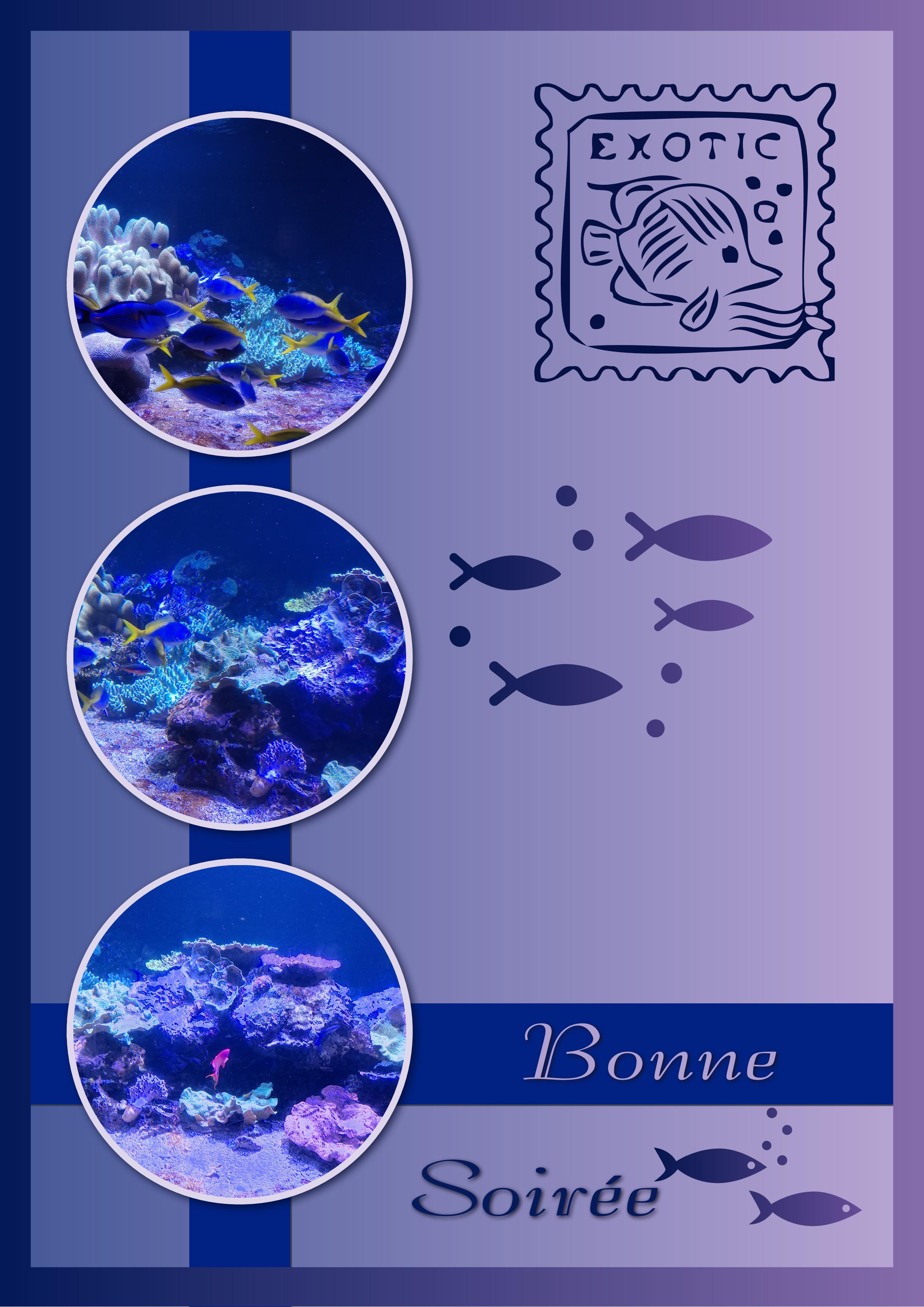 J - BONNE SOIREE.jpg