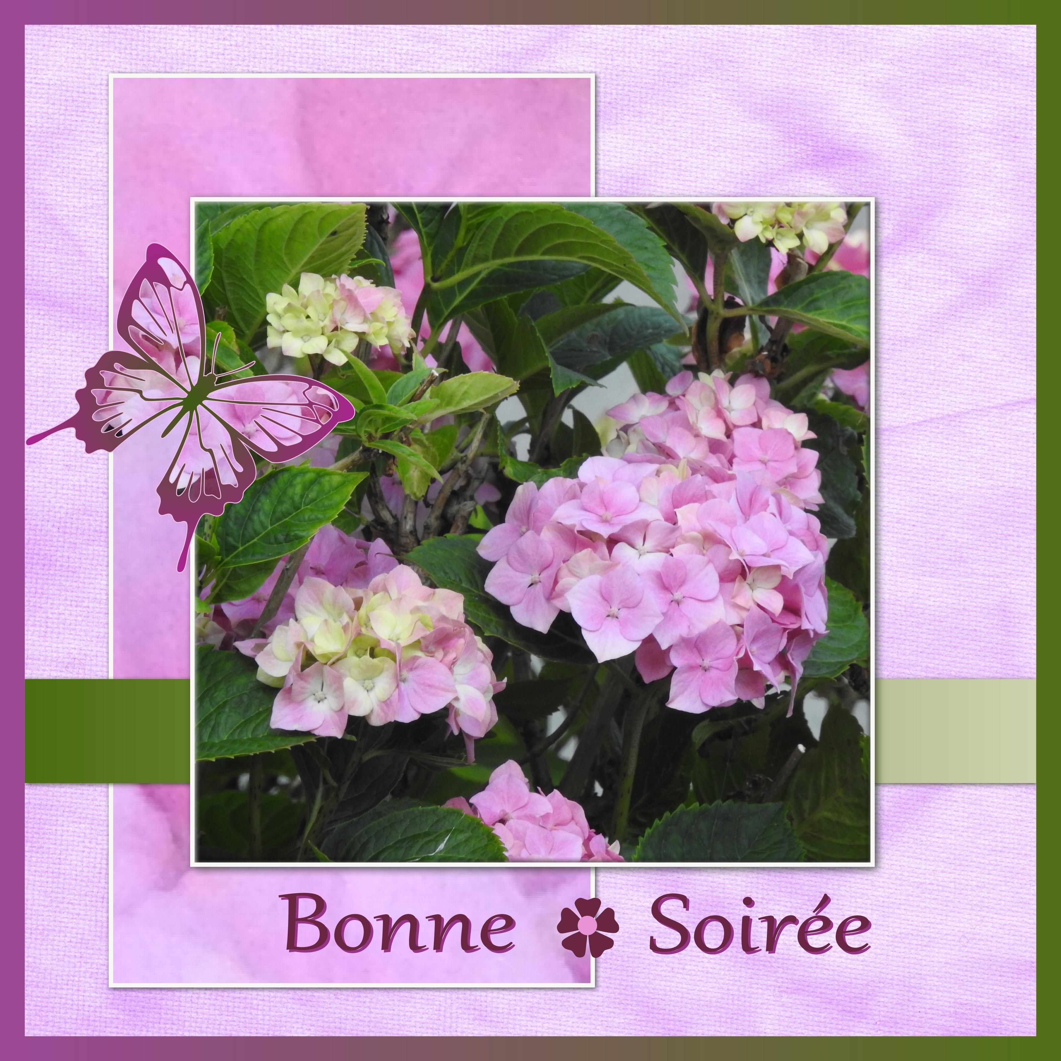 J - BONNE SOIREE.jpg