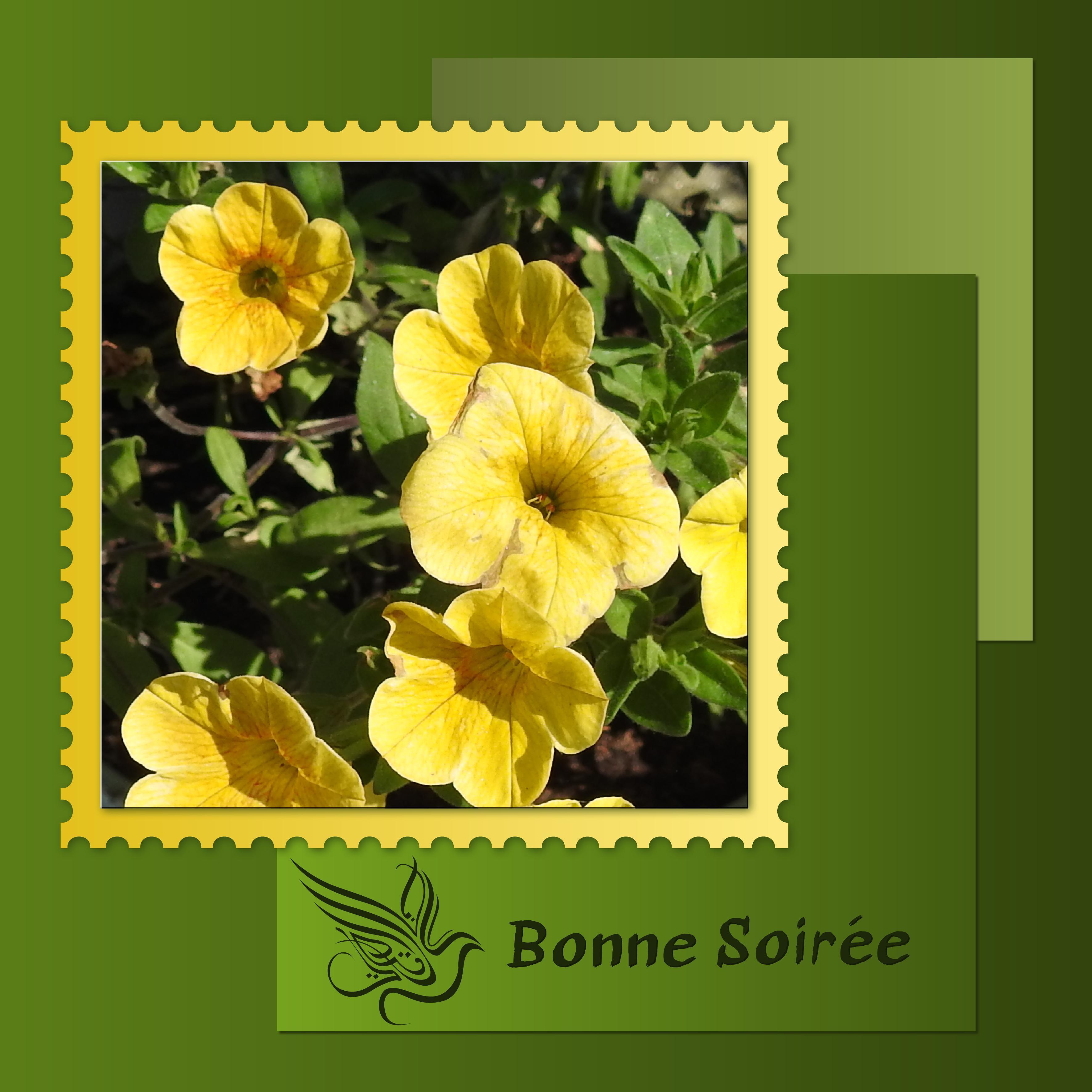 J - BONNE SOIREE.jpg